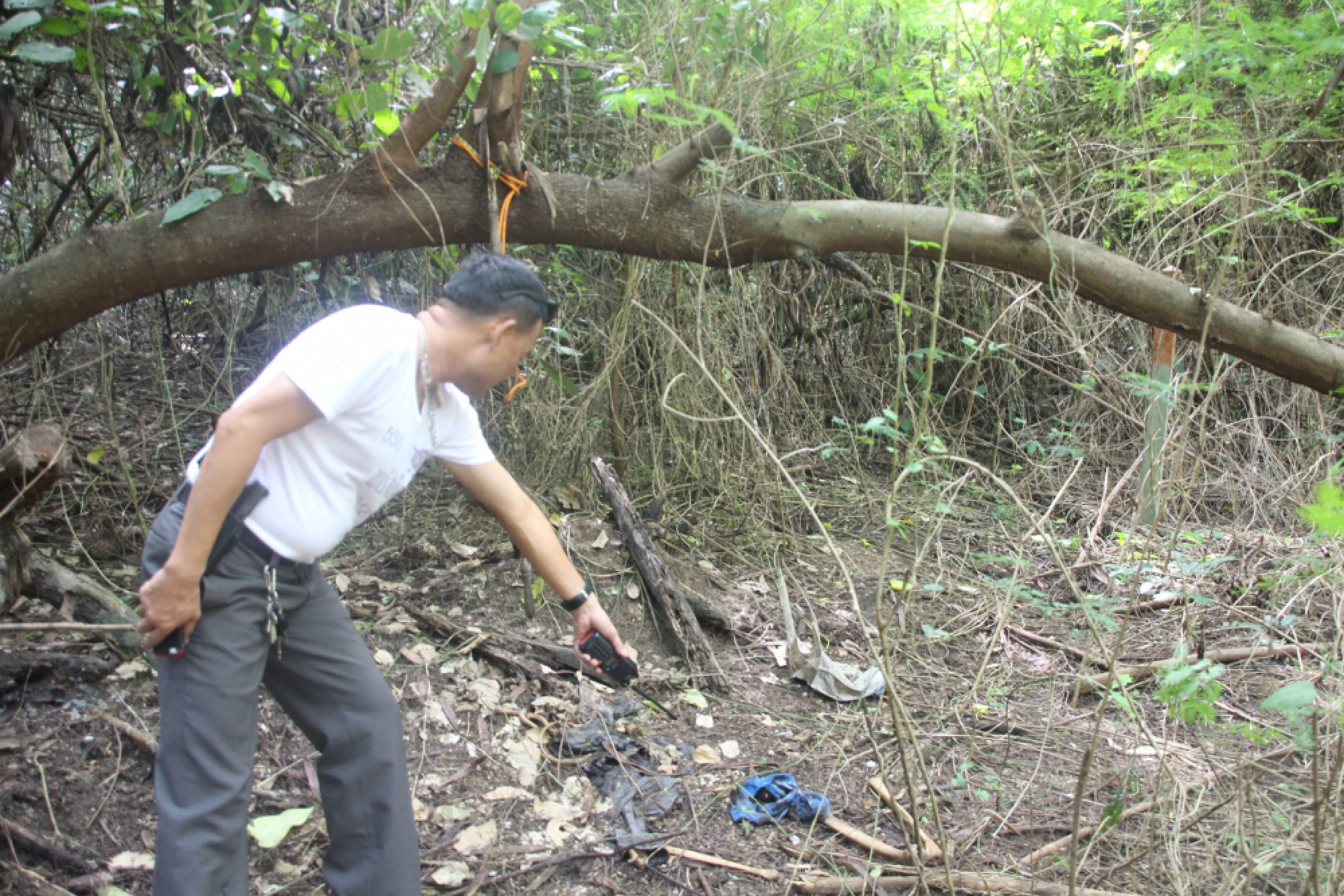 Skeleton linked to man missing for six months