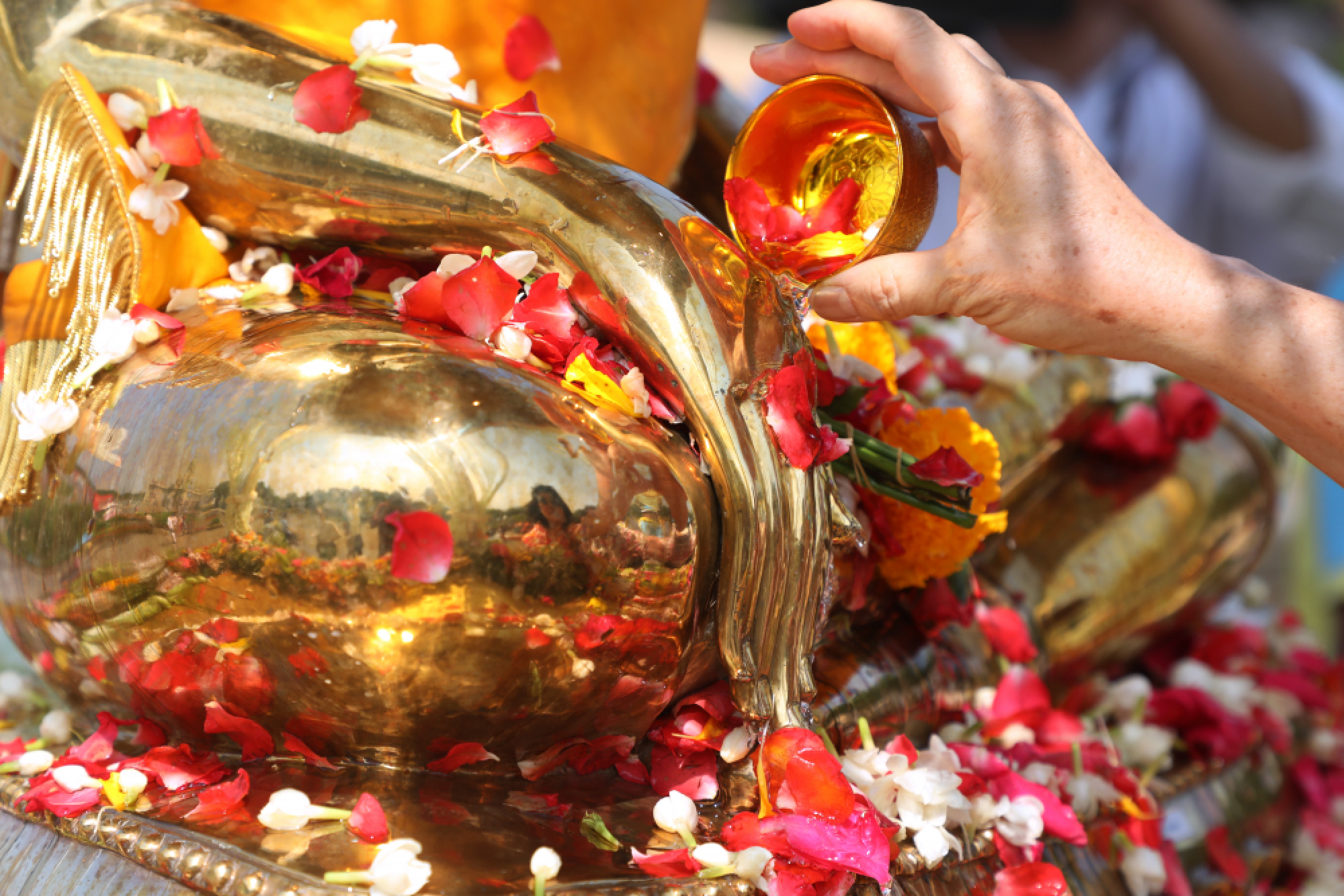 Where not to get wet