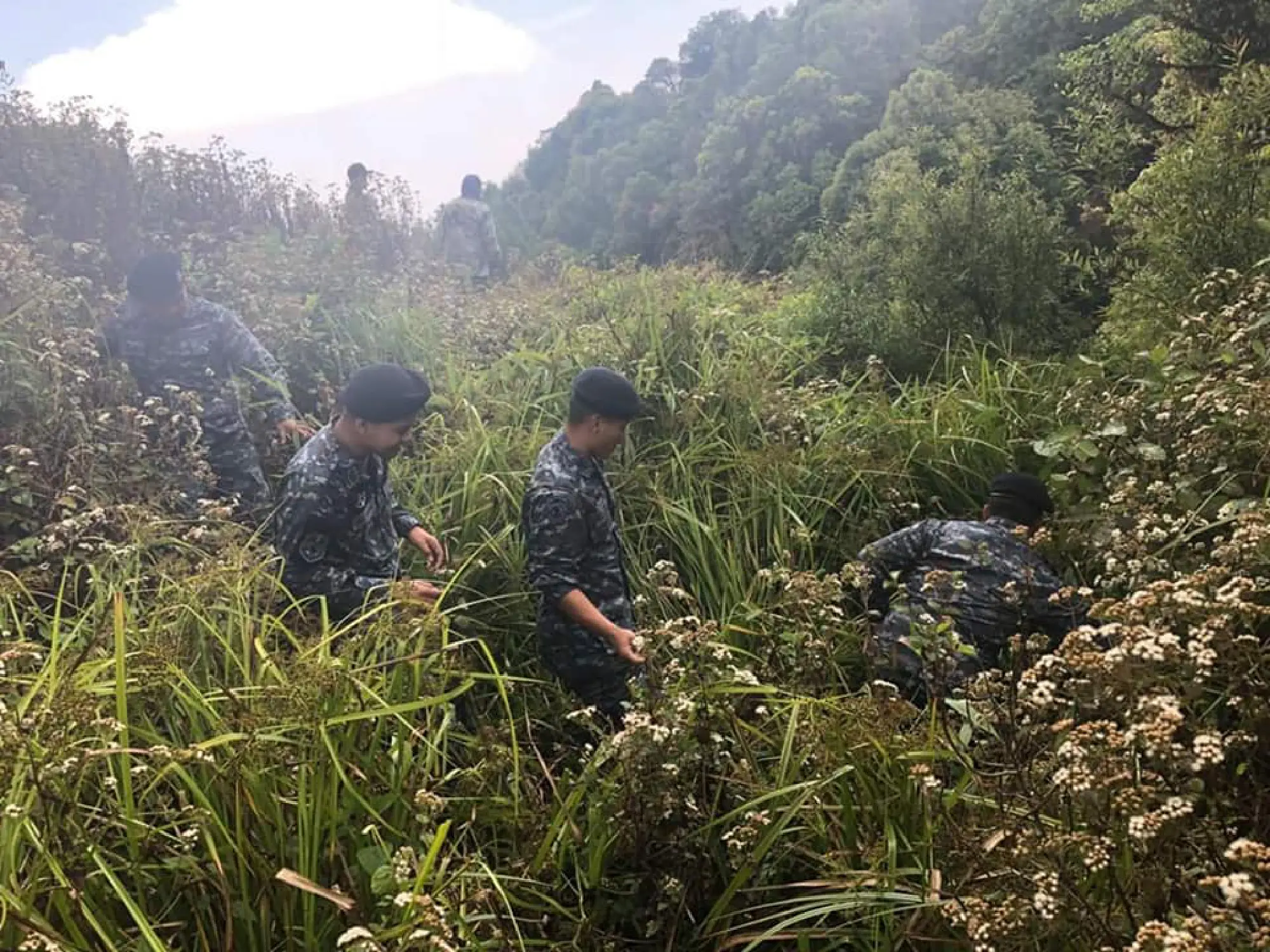Search resumes for Japanese tourist, 82, missing in Chiang Mai