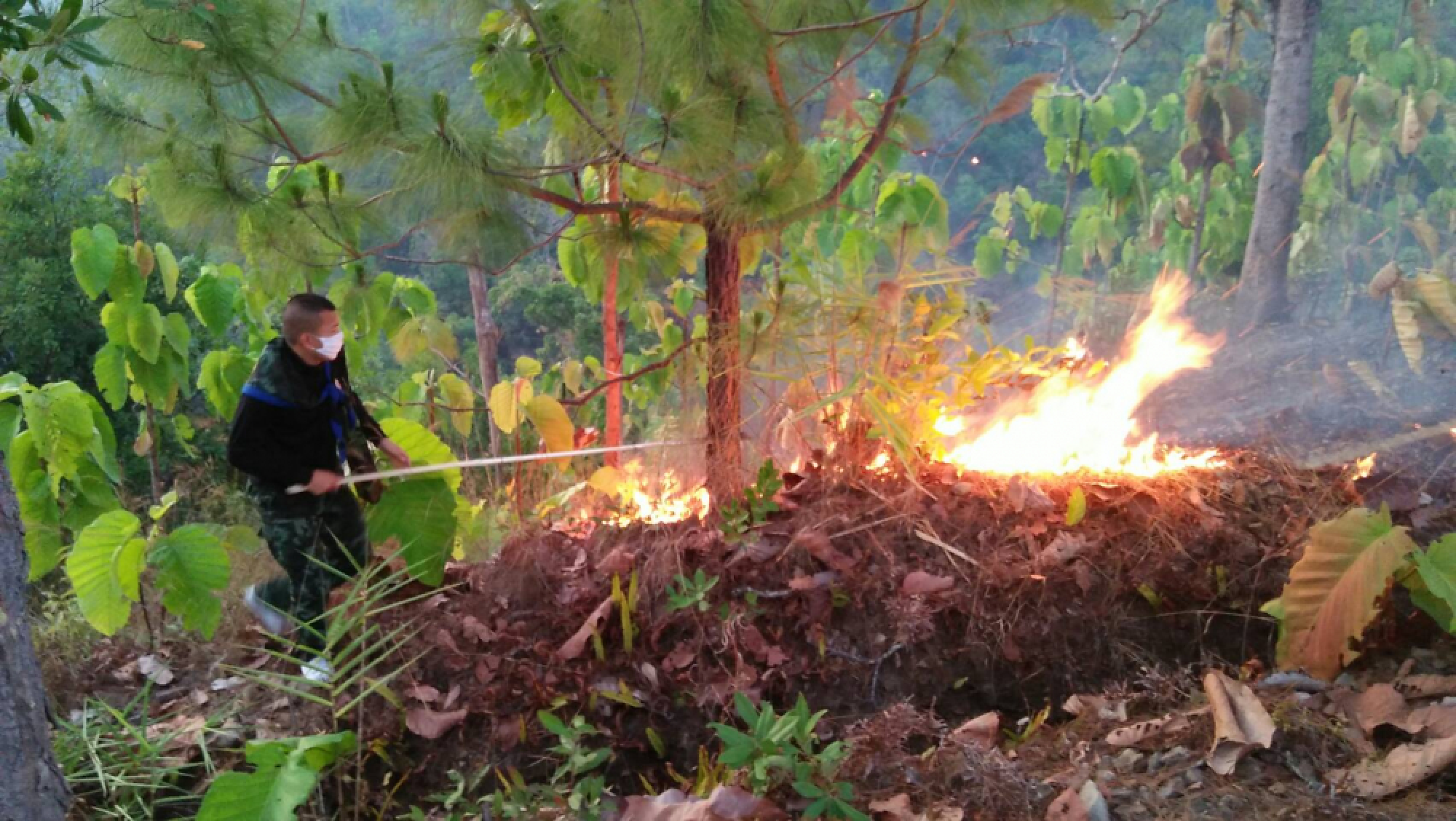 Rain abates, fires foul air in North