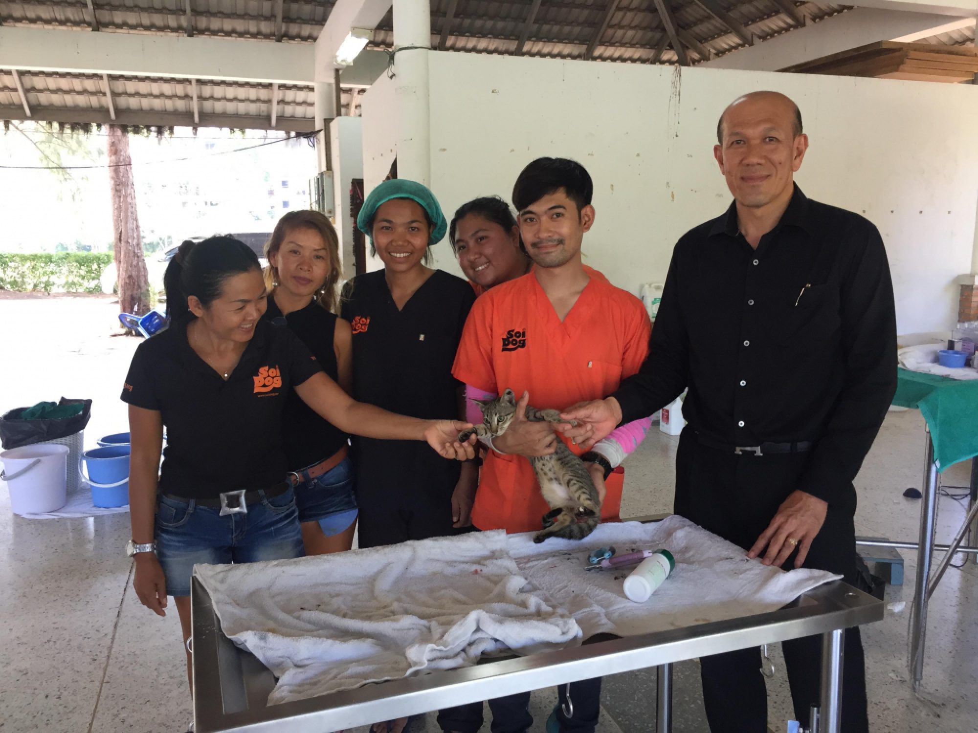 ‘Soi Dog’ mobile clinic sets up in Phuket