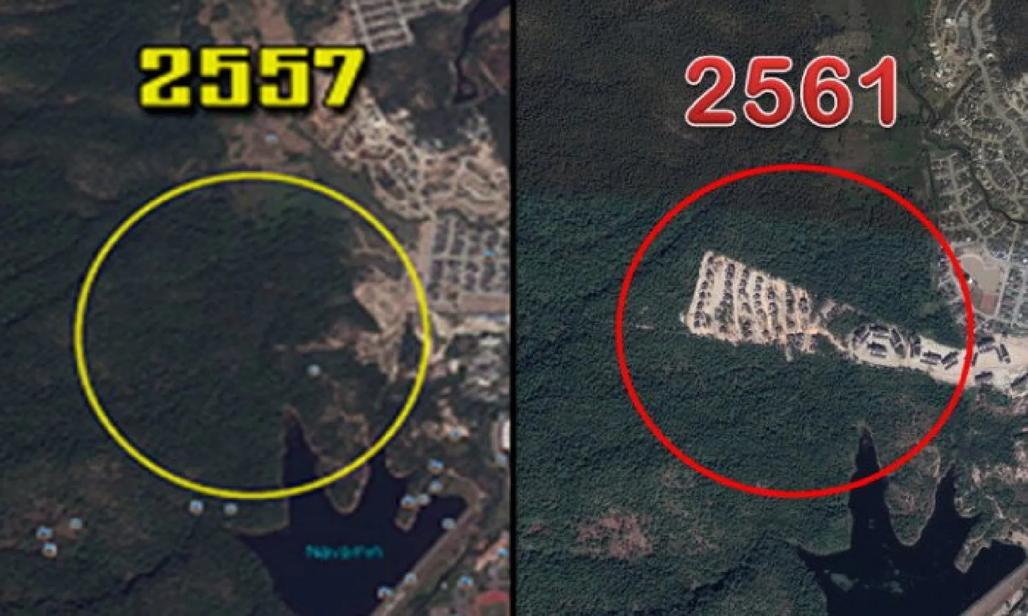 Royal petition planned over Doi Suthep