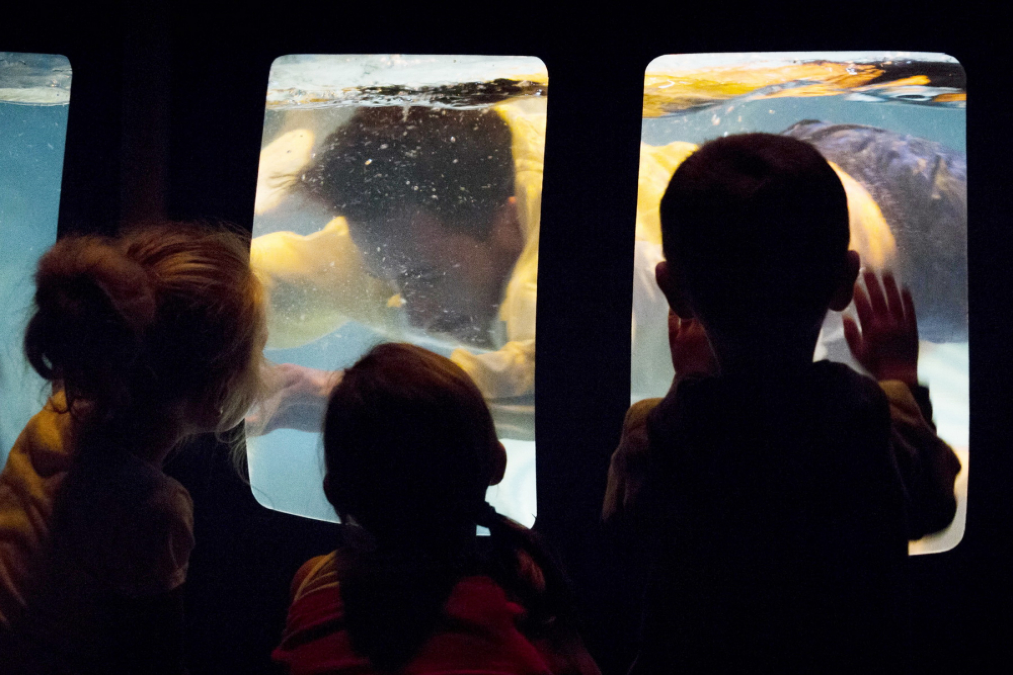 An exercise in imagination