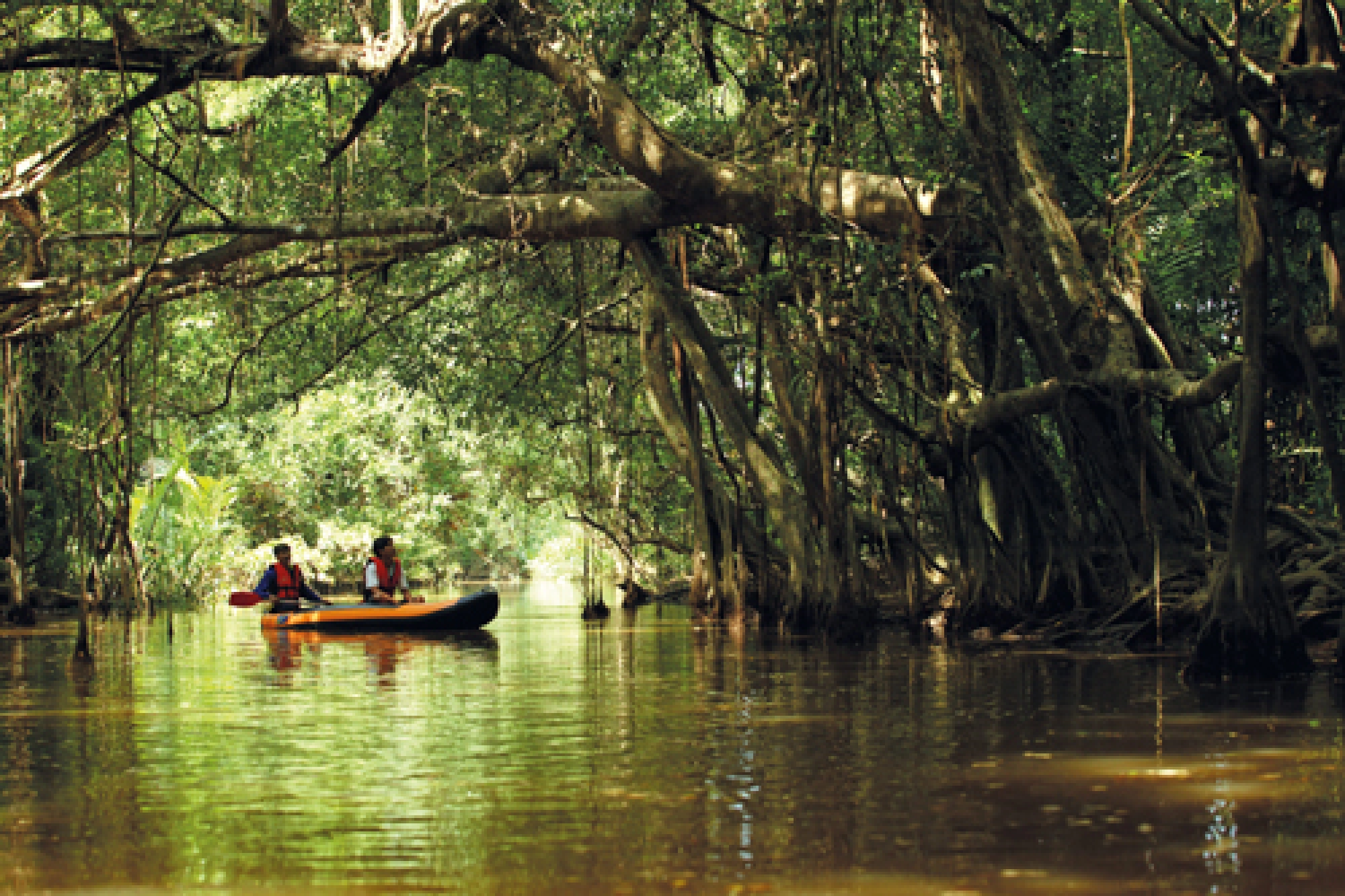 The only way is green