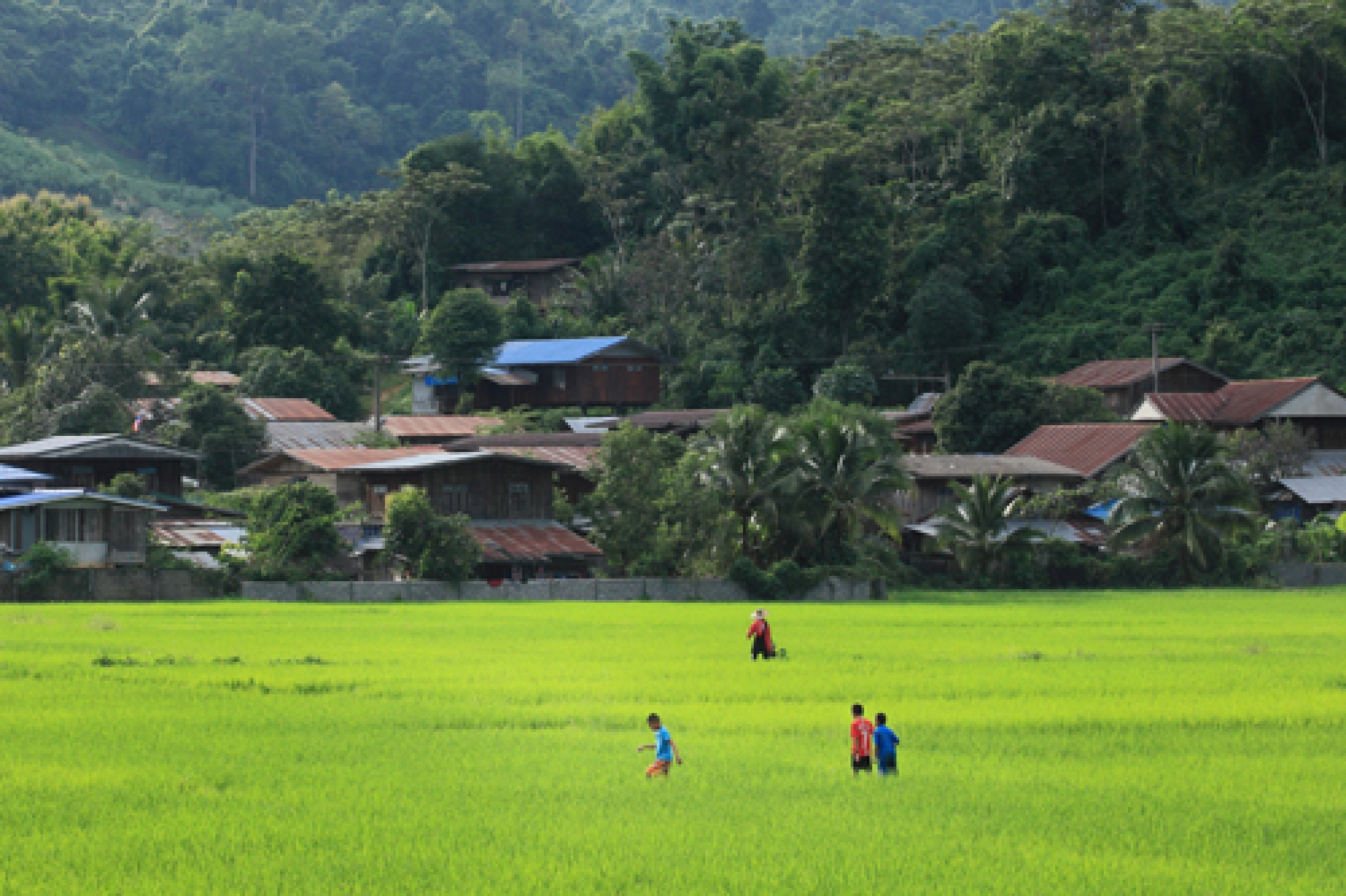 The only way is green