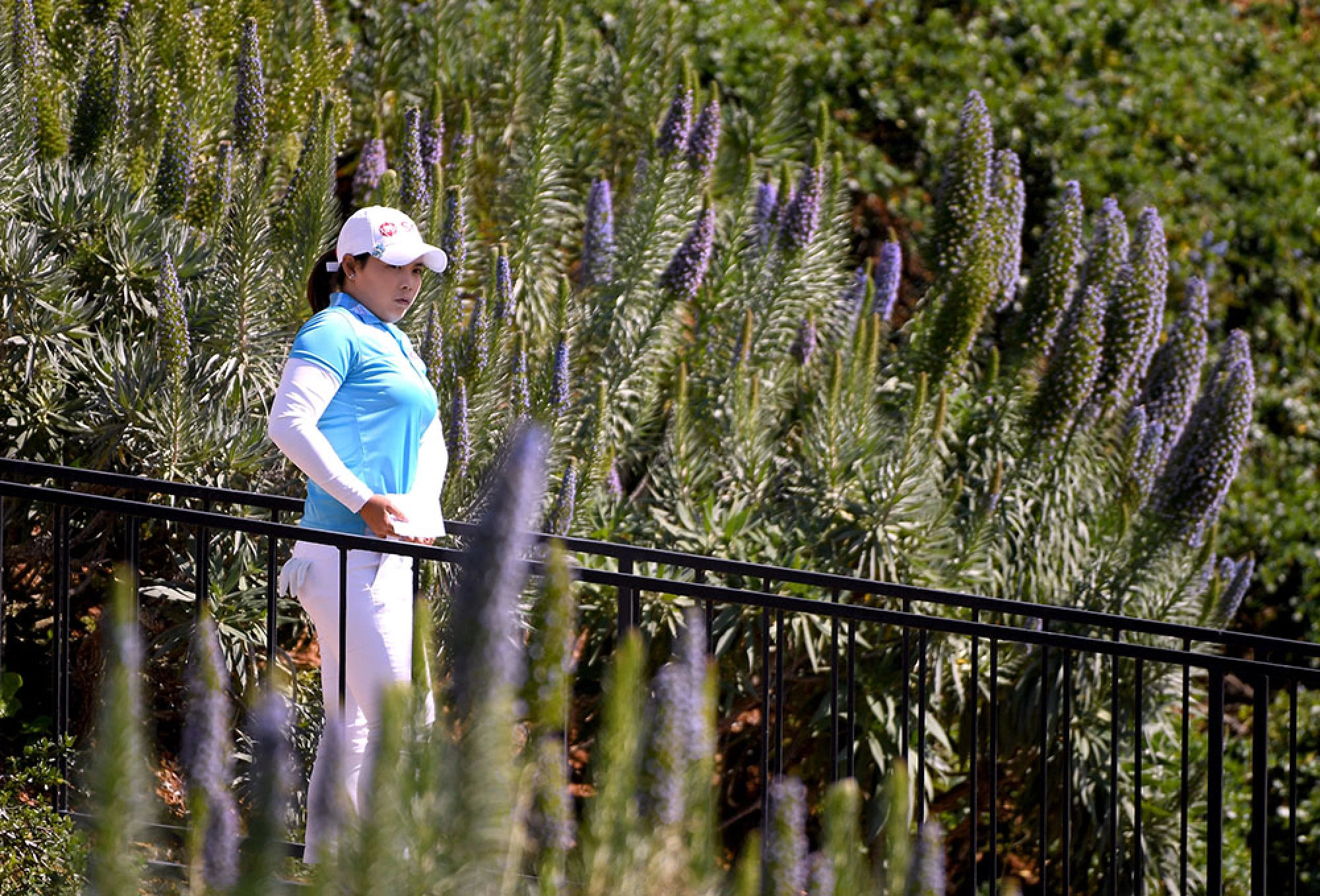 Thailand's Moriya leads at halfway stage of LA Open