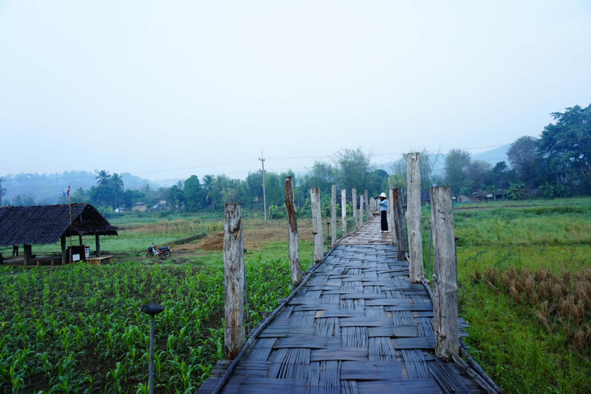 Miracles in the mist