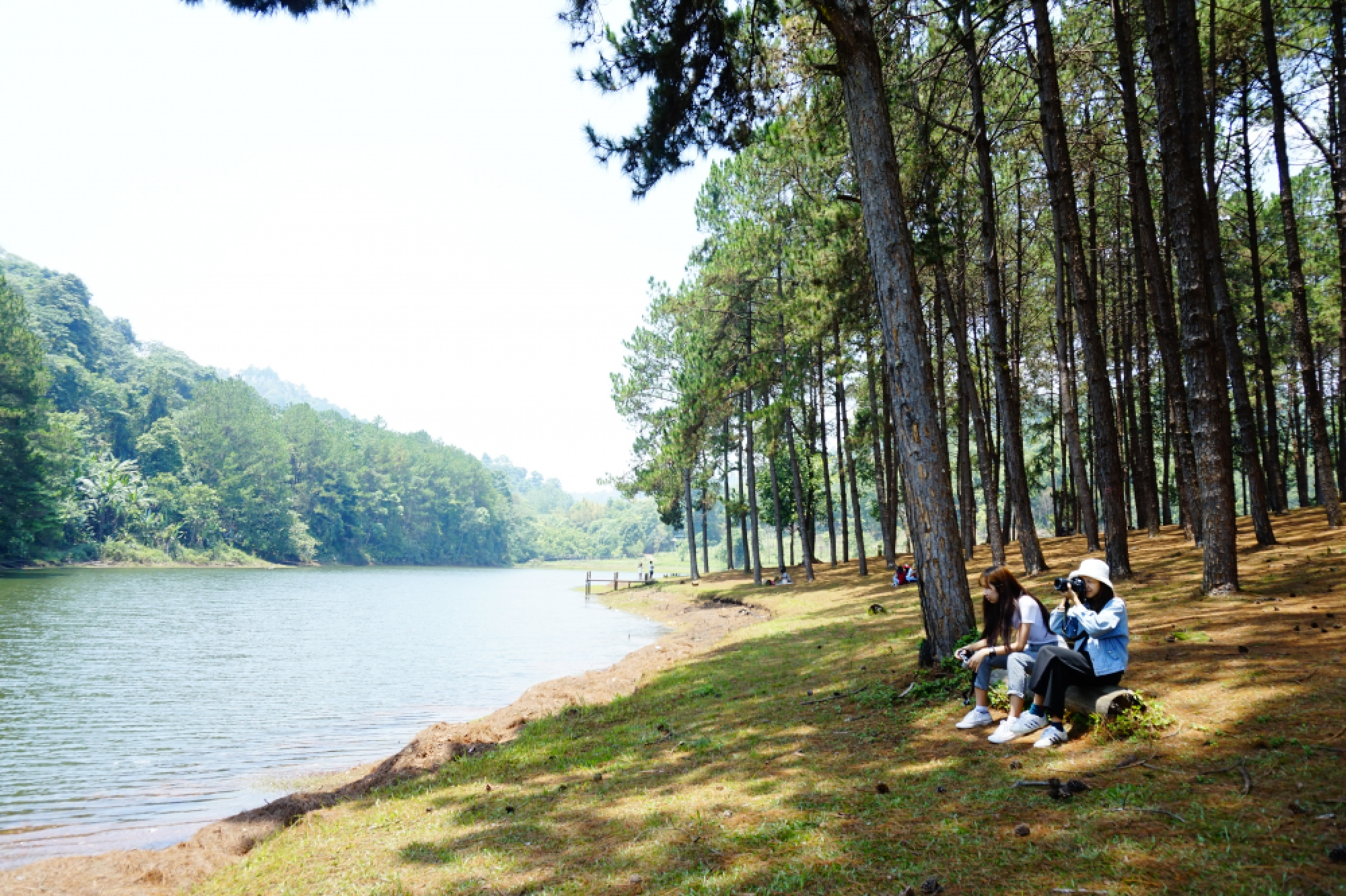 Miracles in the mist