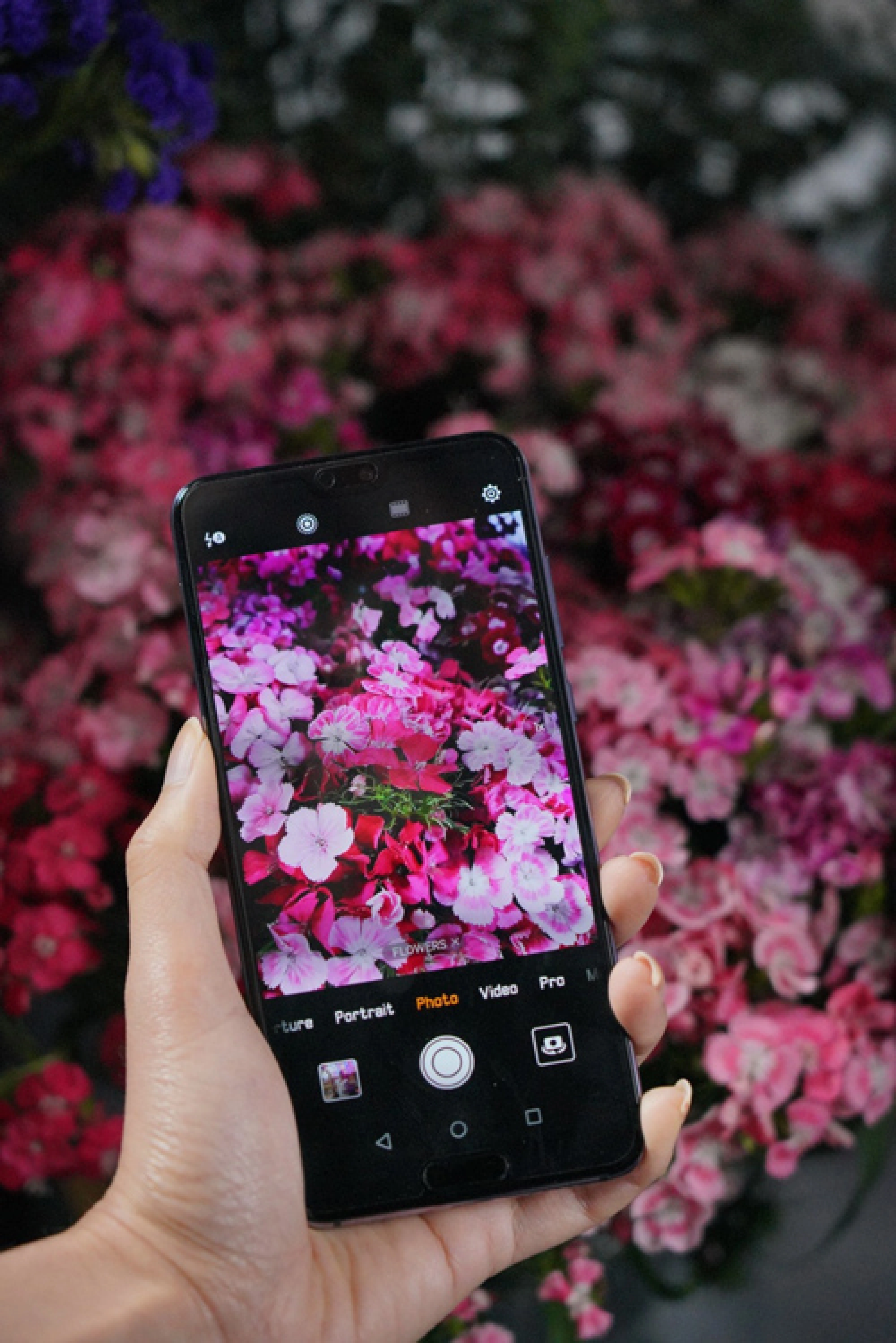 Perfect shots in every setting