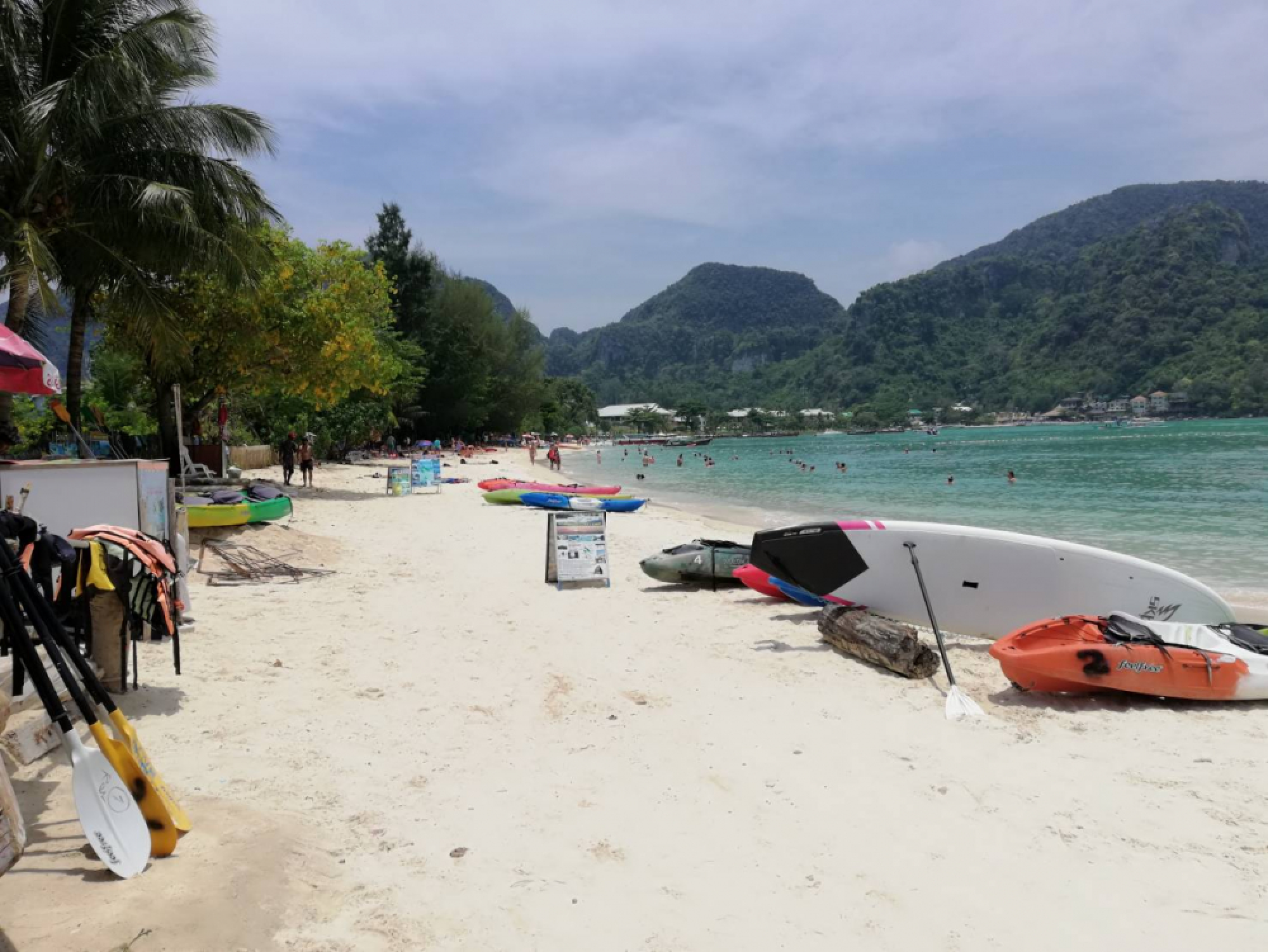 Tourism chief demands Phi Phi clean up