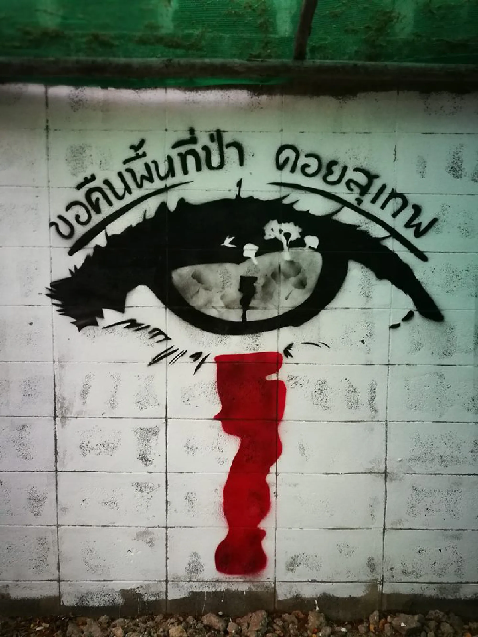 ‘Bloody tears’ mural opposing Doi Suthep construction painted in Chiang Mai