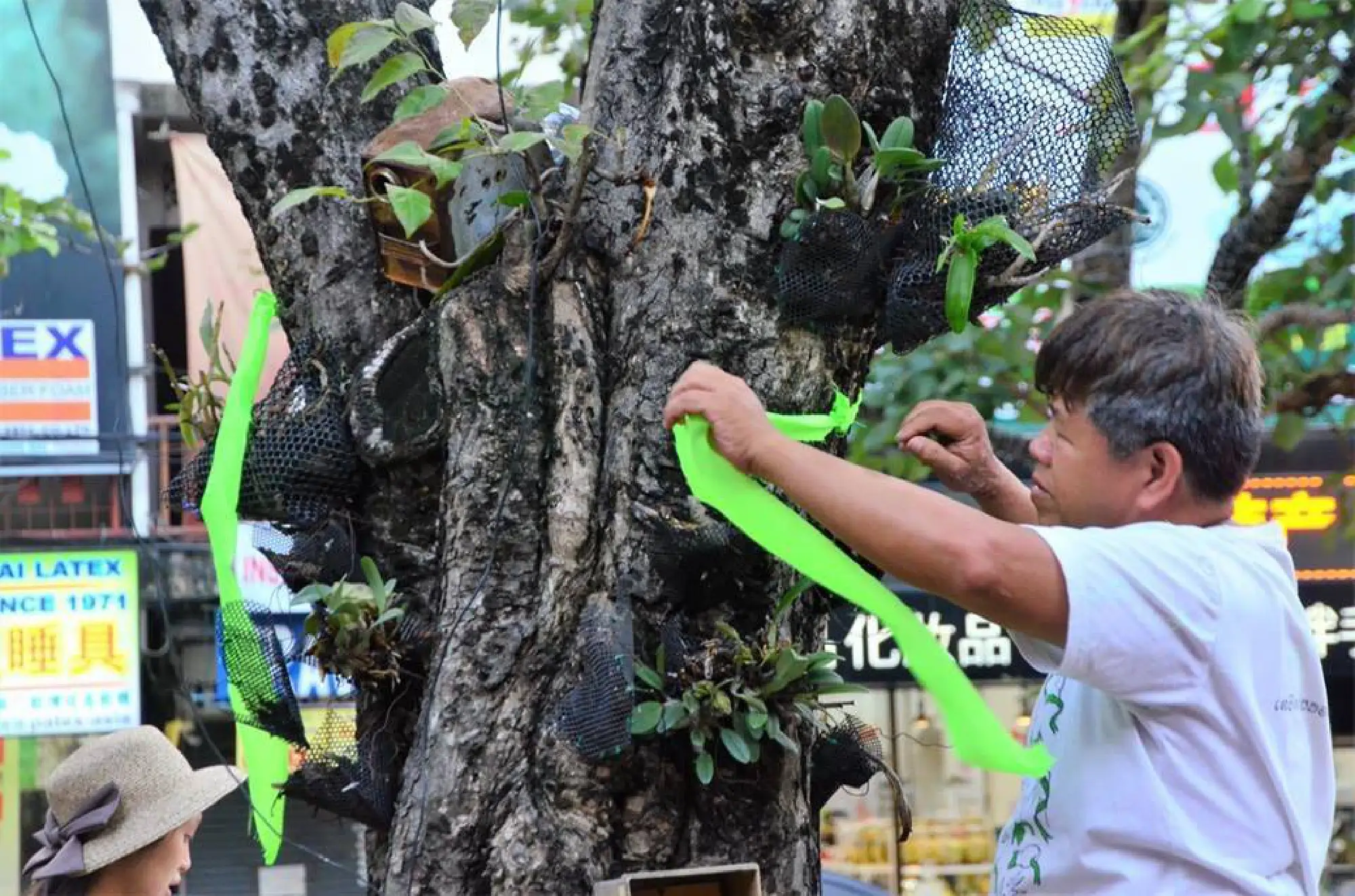 SPECIAL REPORT: Doi Suthep – making 'backward progress'