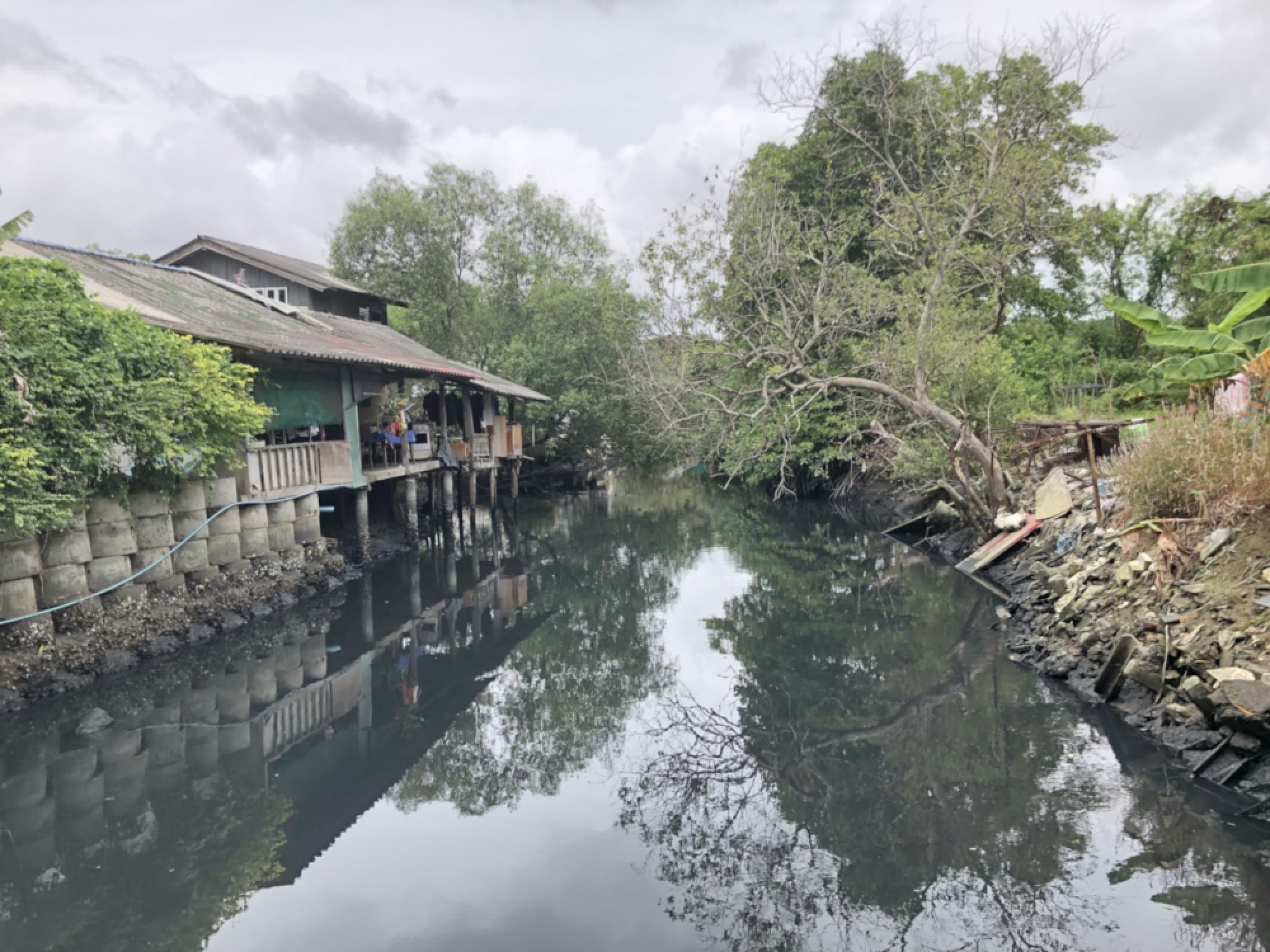 Wastewater poisoning Phuket canal