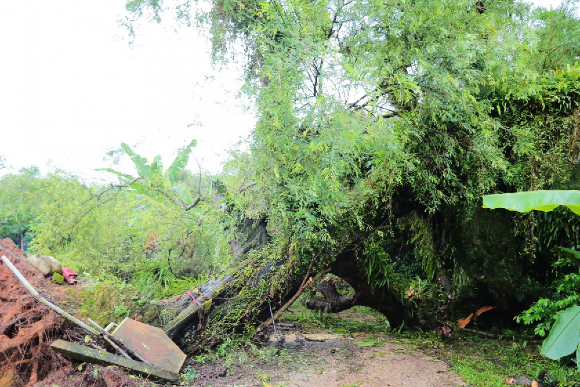 Landslide hits Phang Nga home