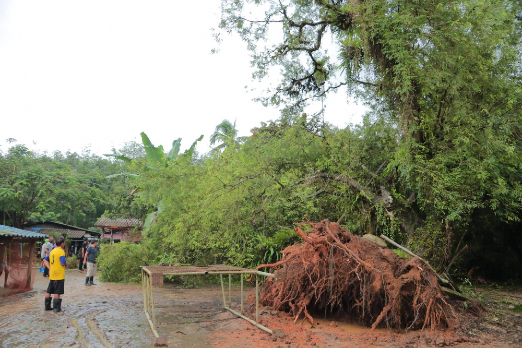 Landslide hits Phang Nga home