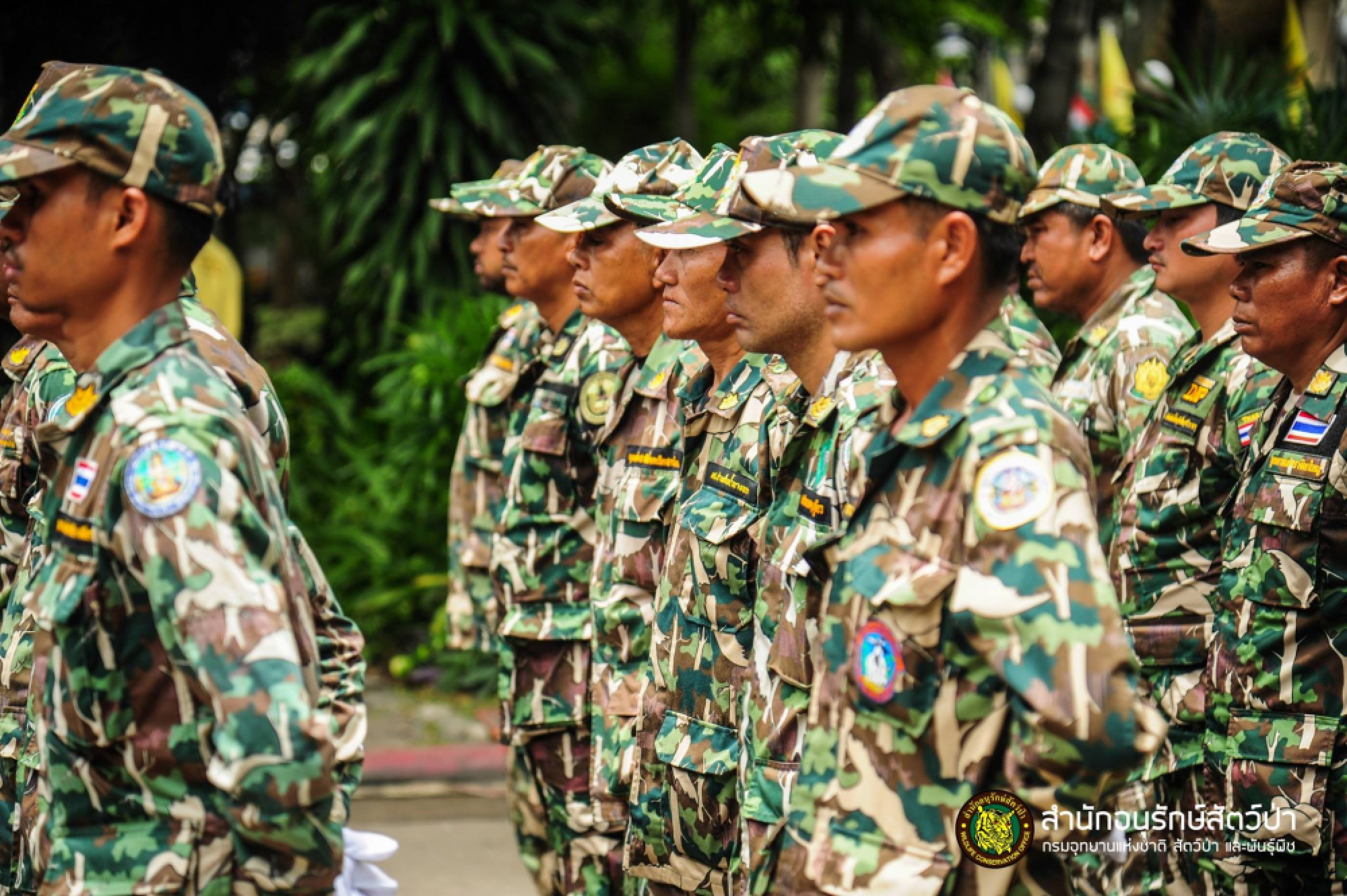 SPECIAL REPORT: Forest rangers risk lives for a pittance  