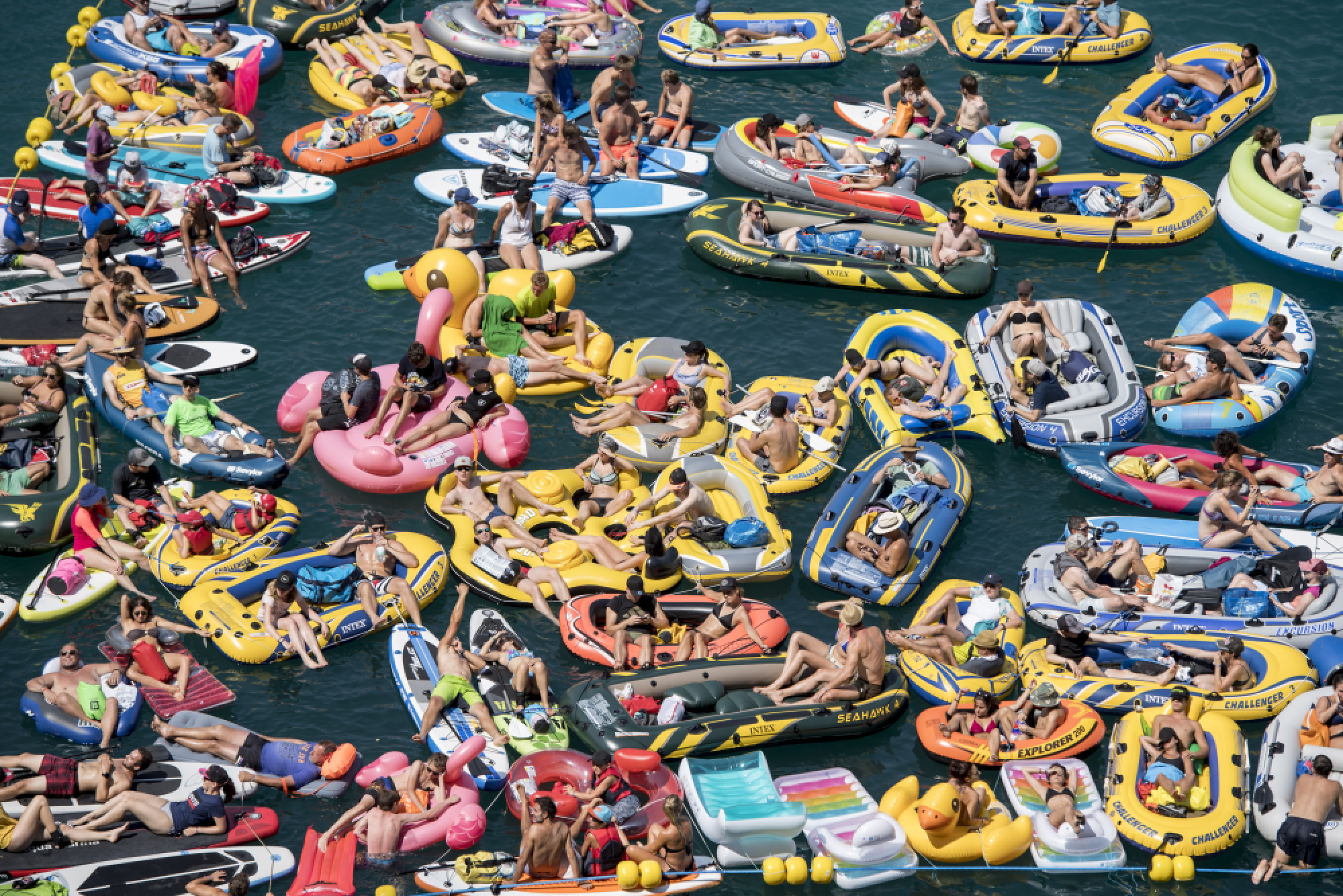 Cliff Diving competition at the Lake Lucerne