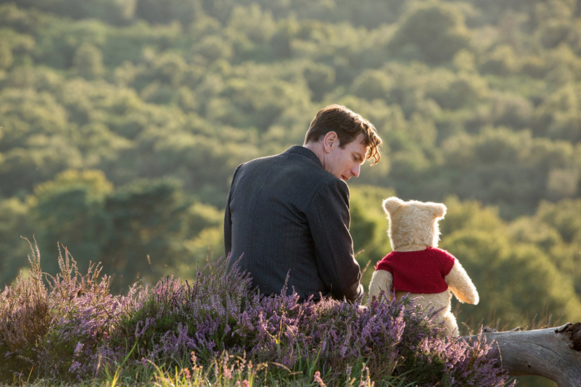 One man and his bear