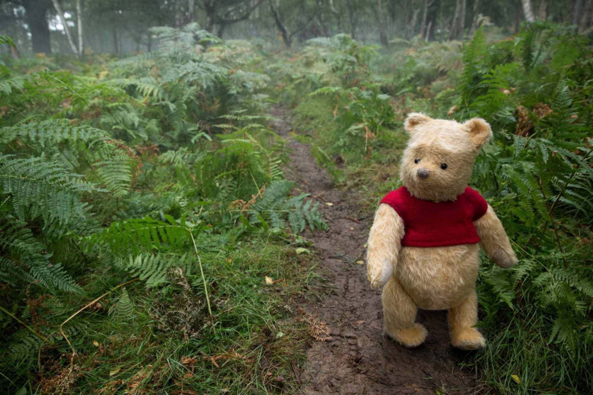 One man and his bear