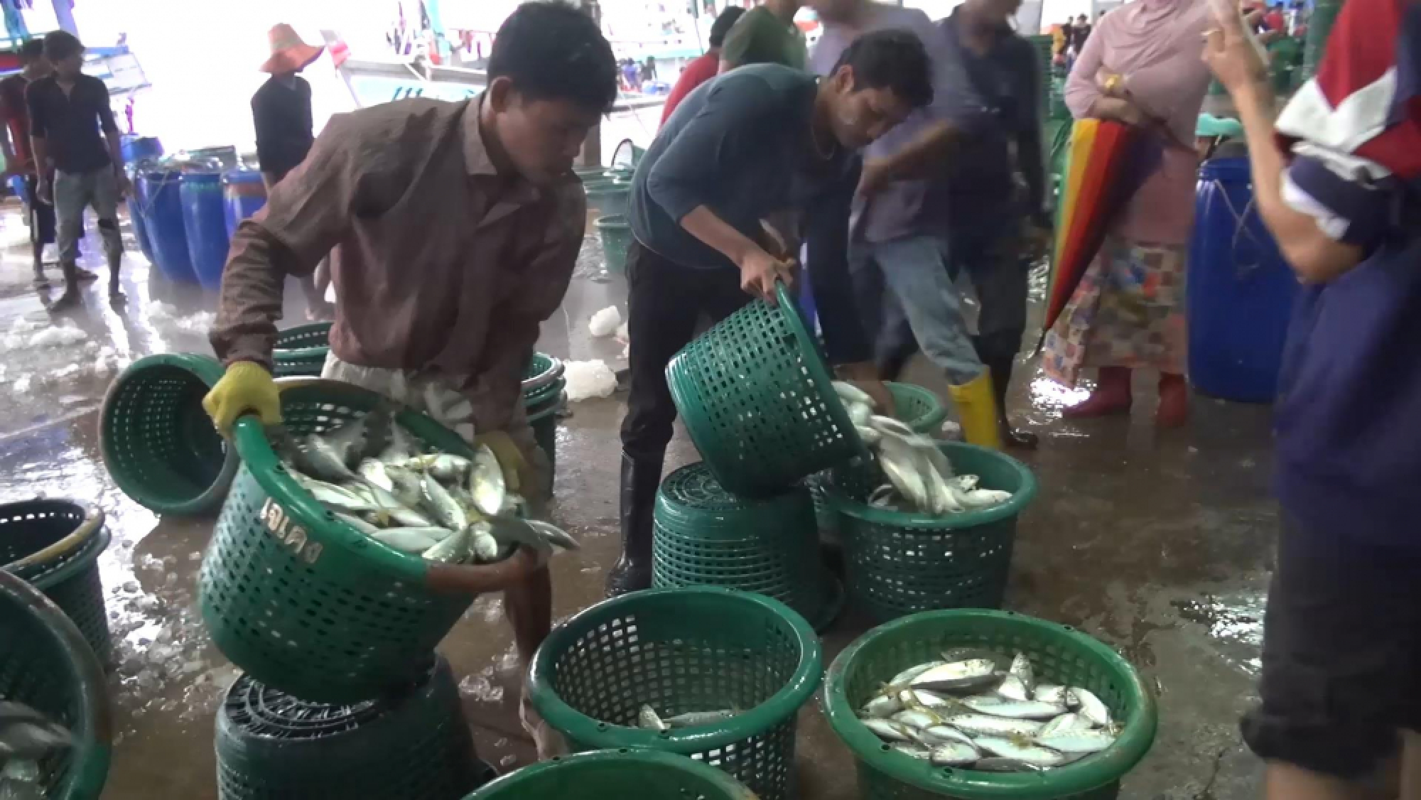 Govt closer to ratifying fishing convention despite protests
