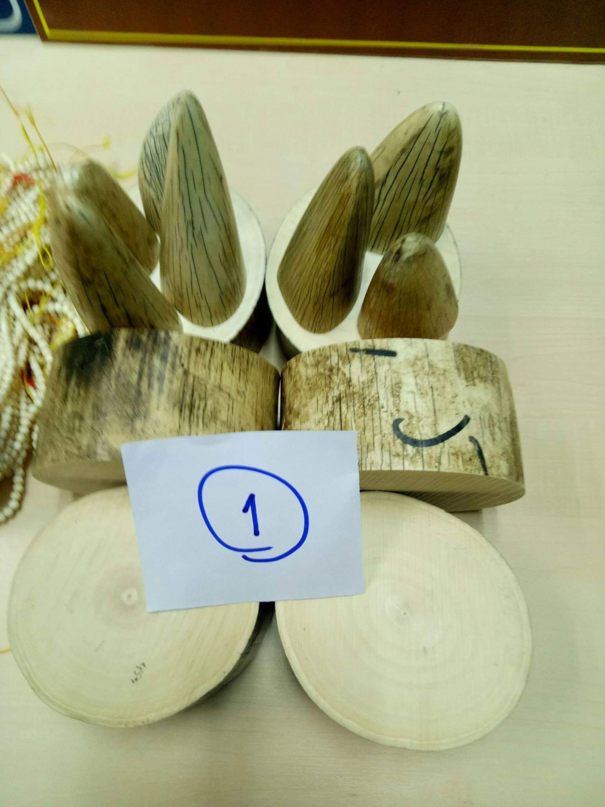 Vietnamese woman arrested in Nakhon Phanom with 22kg of ivory pieces