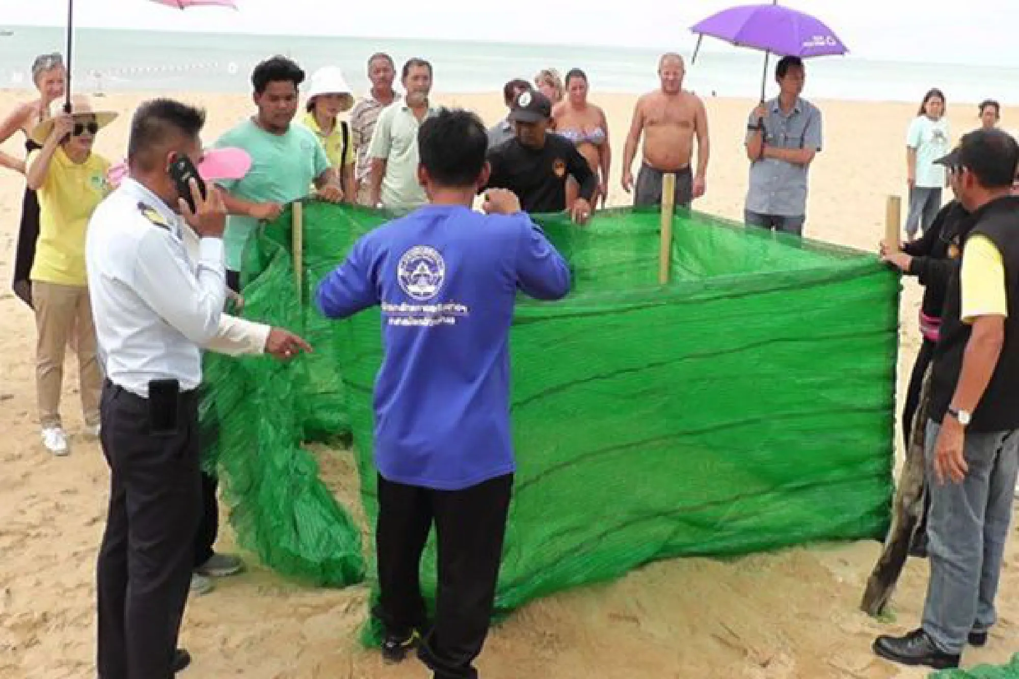 89 leatherback turtle eggs moved to safe area on beach