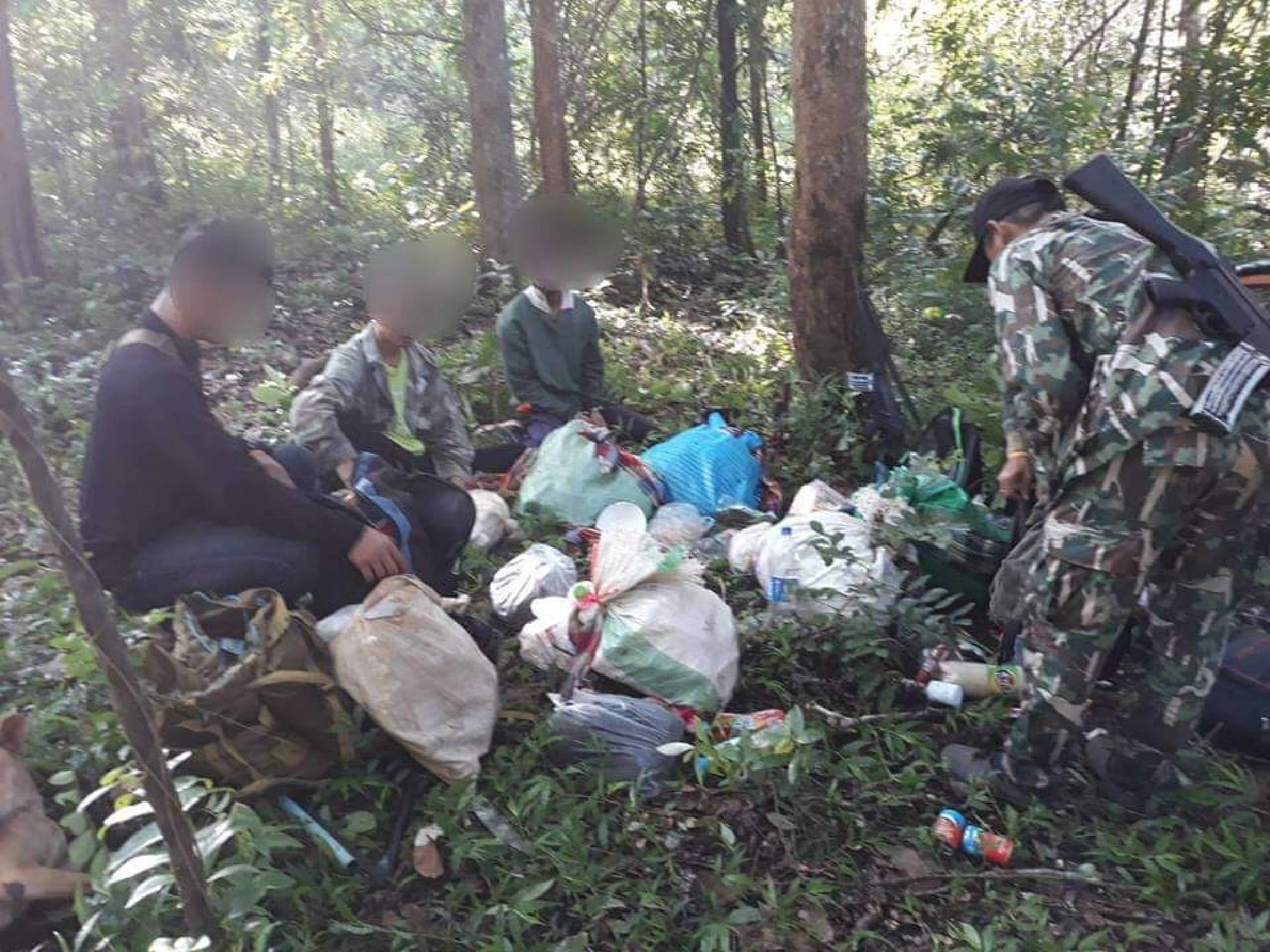 SPECIAL REPORT: Blood-hued Phayung almost gone as corrupt officials pave way for logging