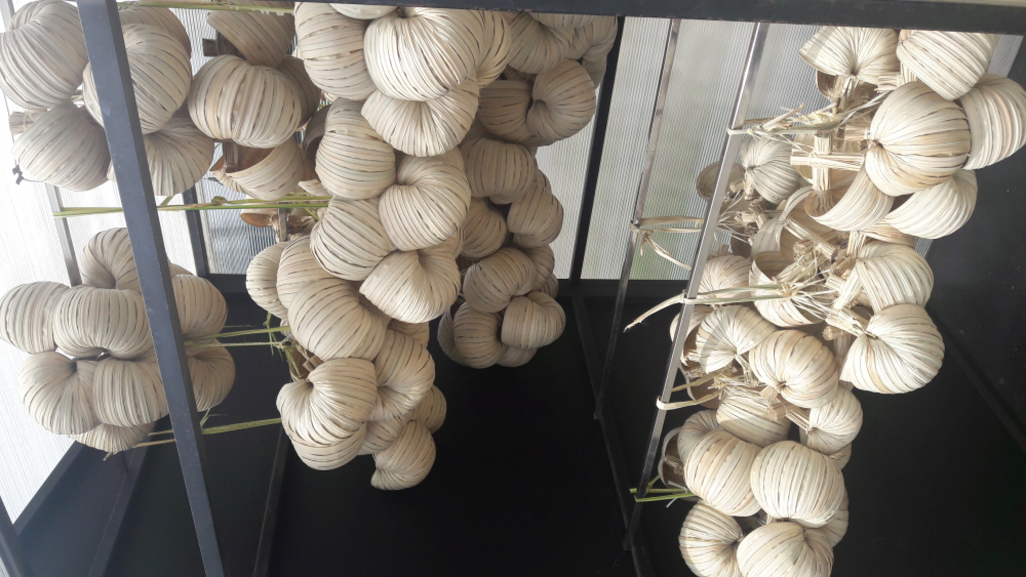 Palian River offers cultural and natural treats of the South