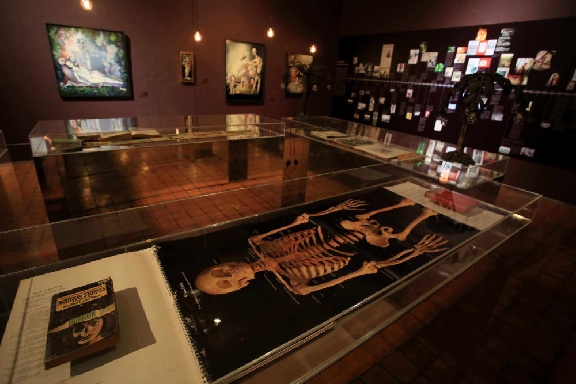 Contrasts on the canvas