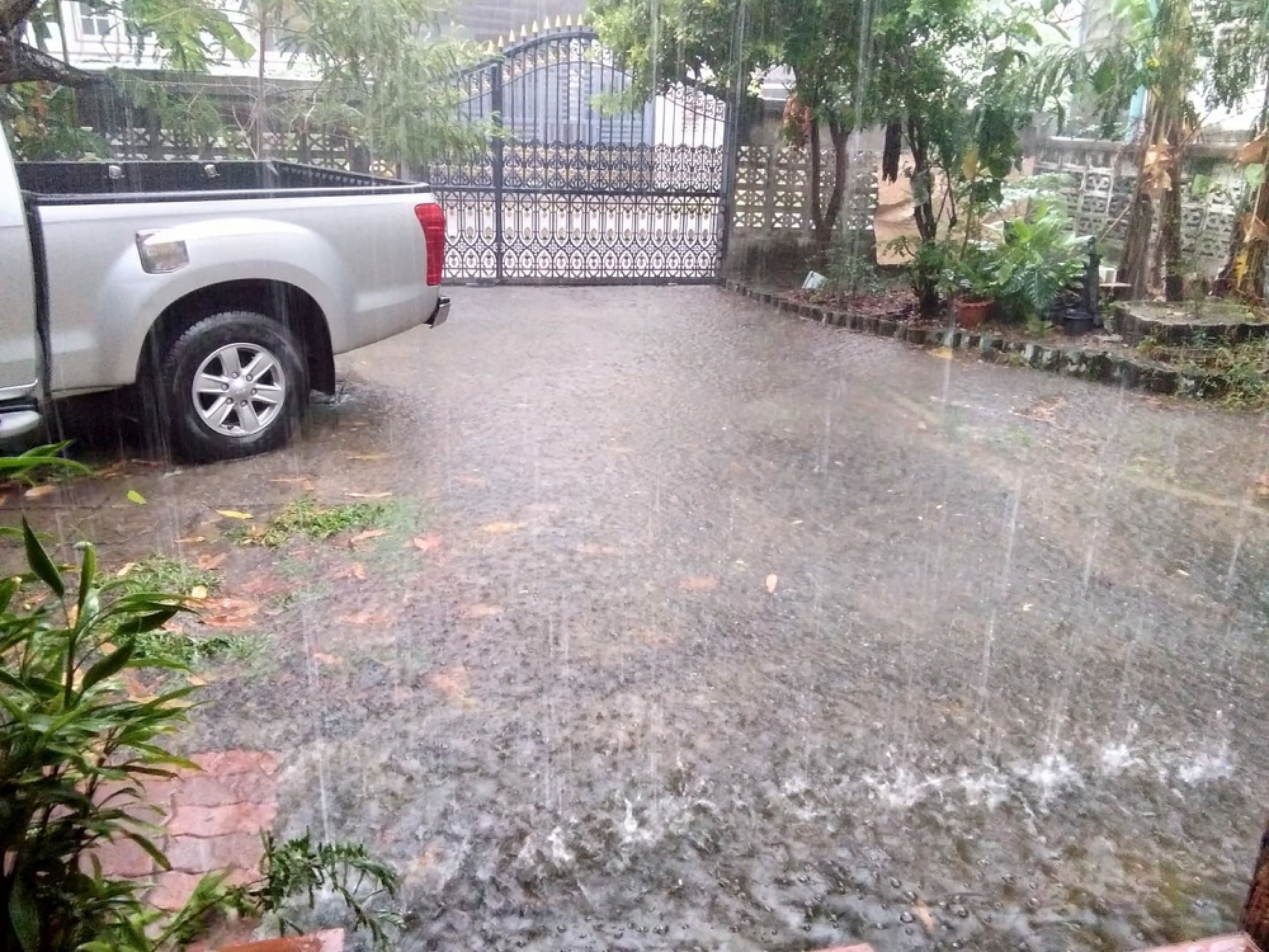 Warning of more wet, windy weather ahead