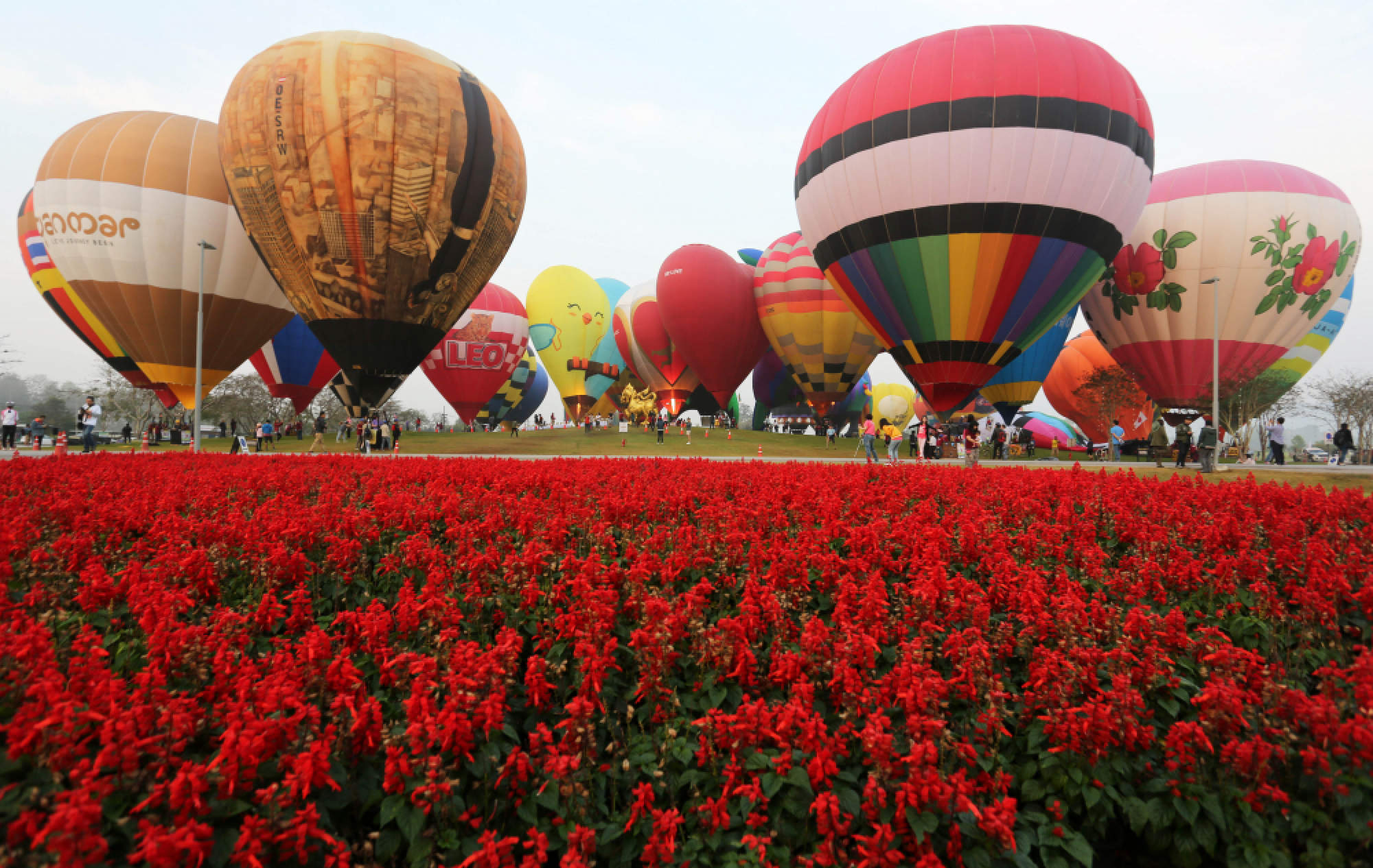 Lovers take to sky as part of Chiang Rai Balloon Fiesta