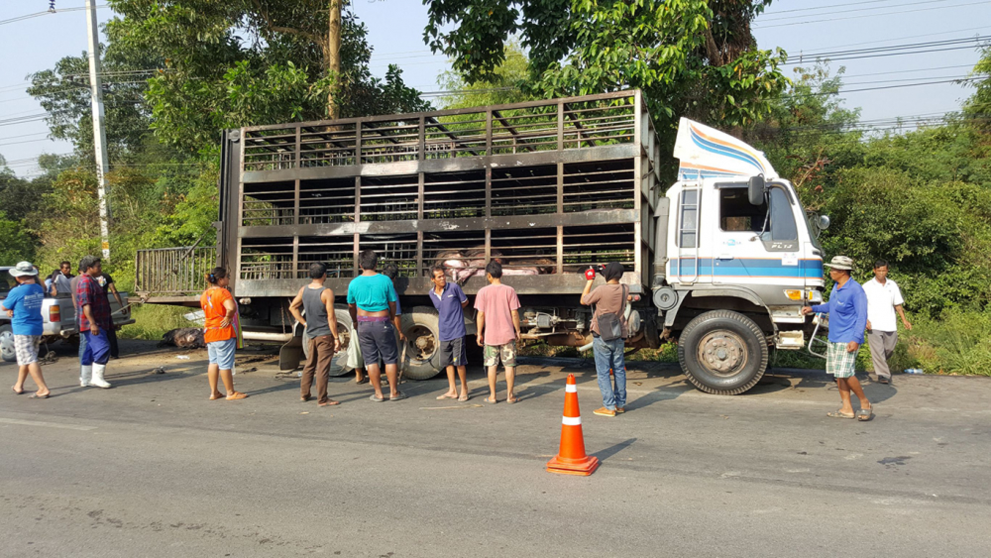 Load of pigs burned to death in Sa Kaew truck fire