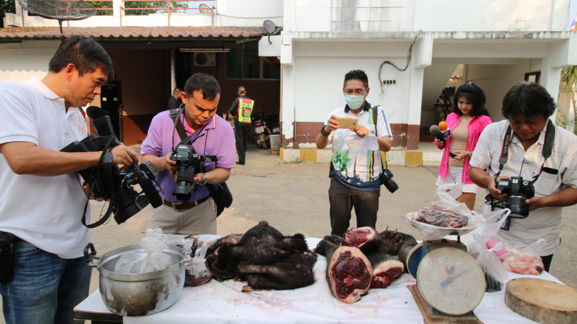 Police charge Saraburi man following tip about bear carcass