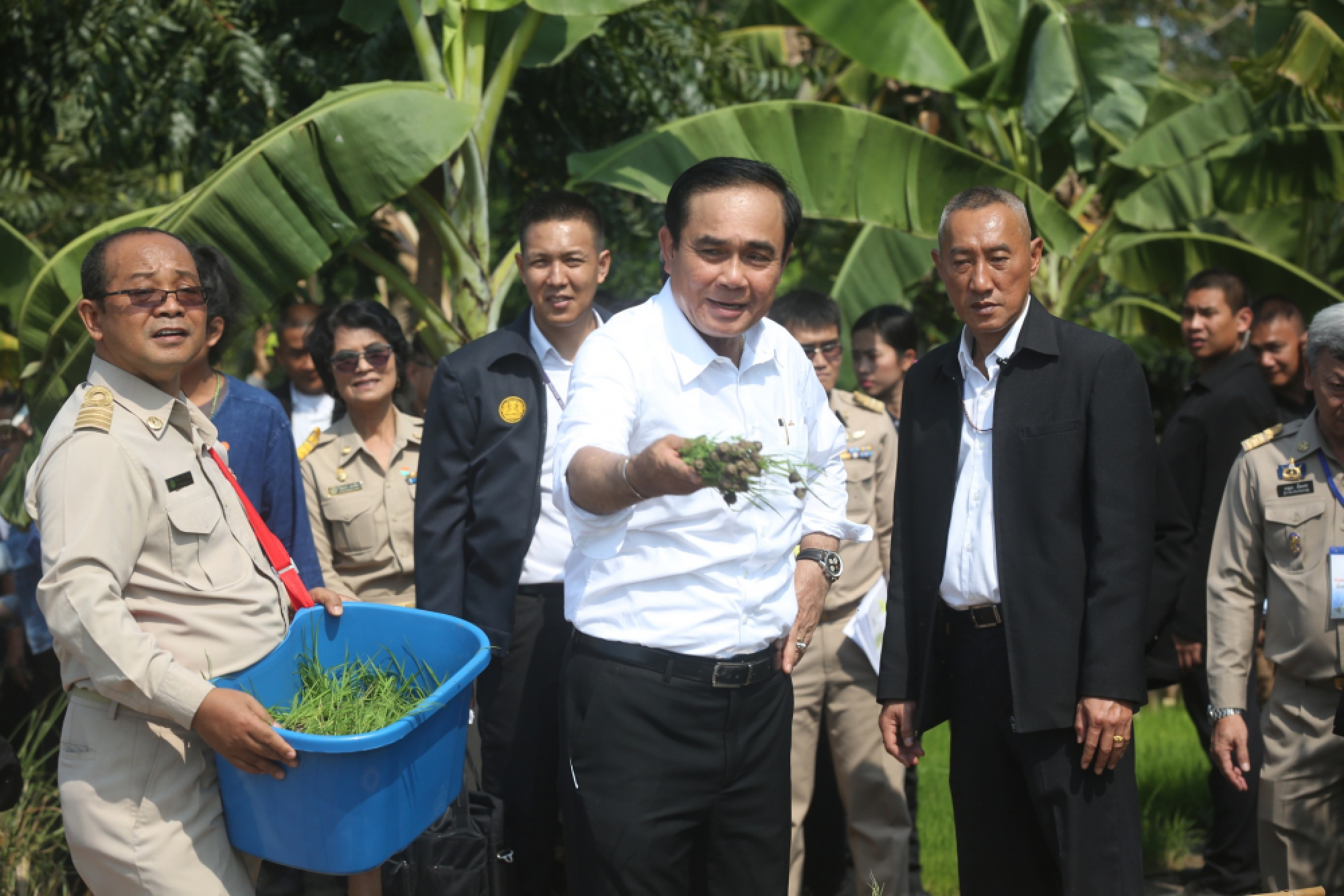 Rice rains on PM Prayut (VDO clip)