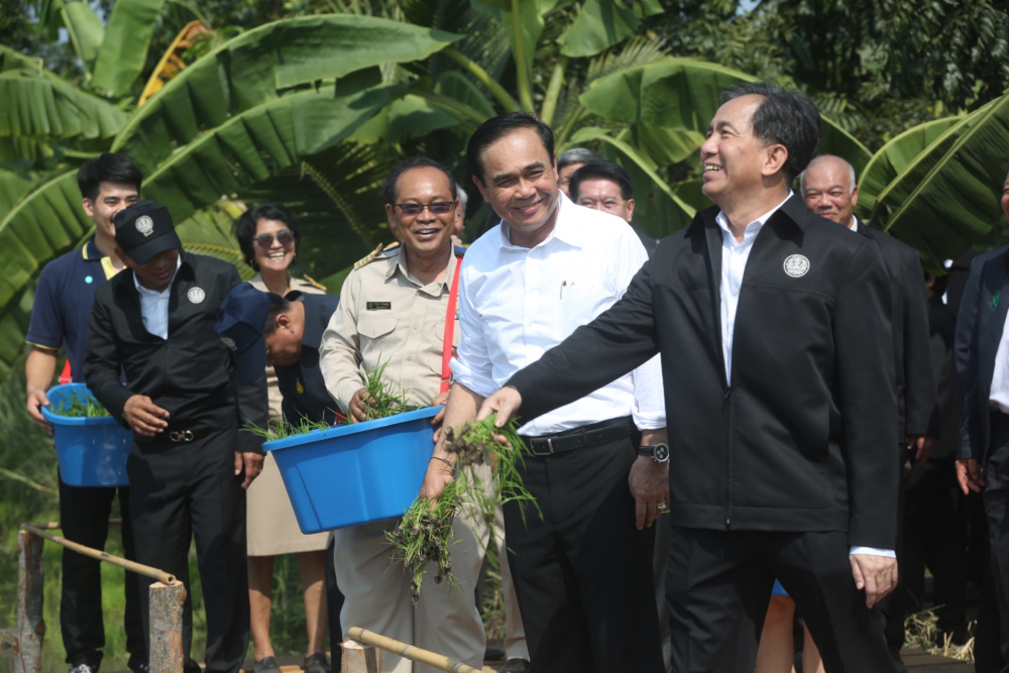 Rice rains on PM Prayut (VDO clip)