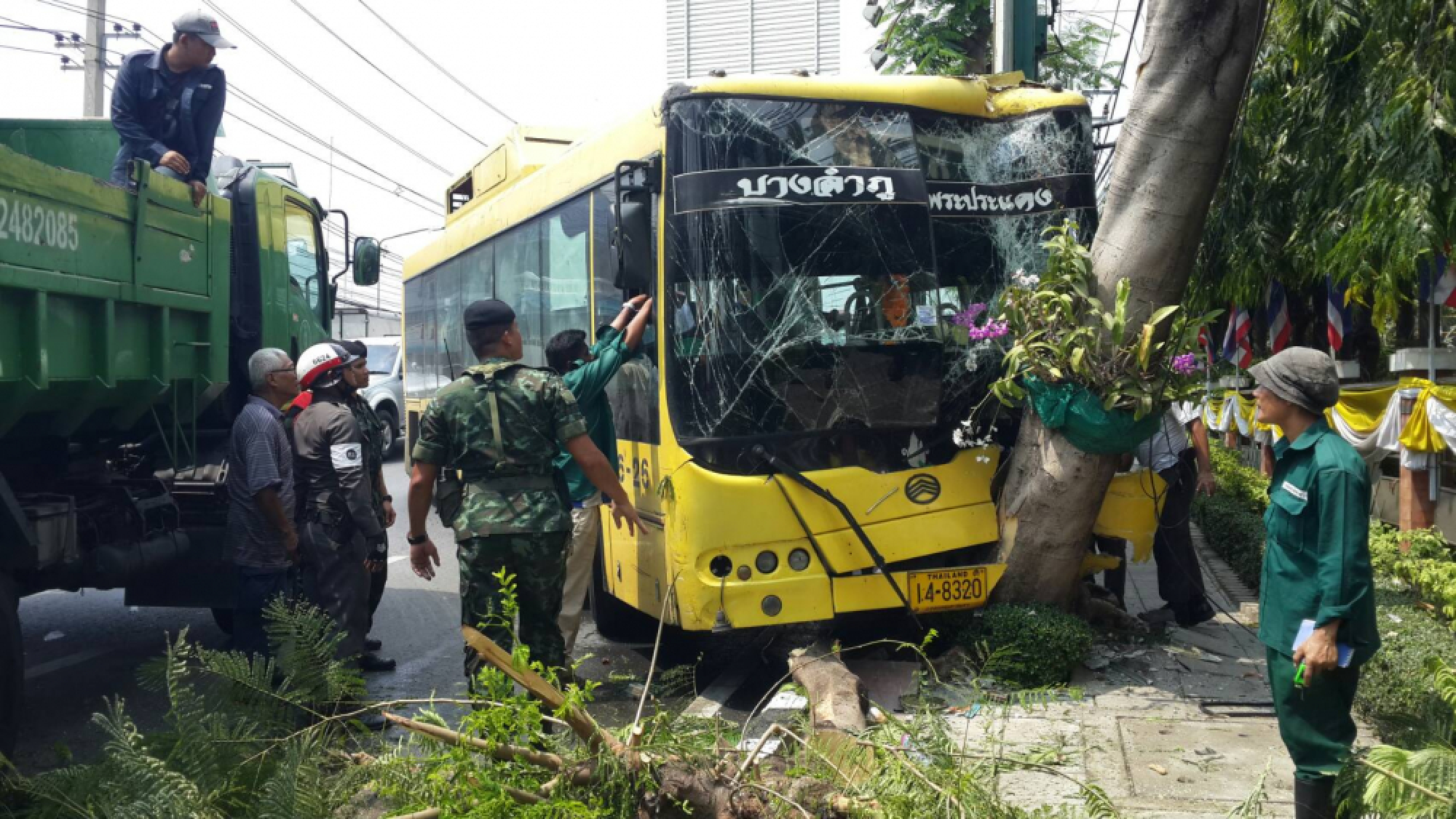 11 passengers injured as bus crashes into tree
