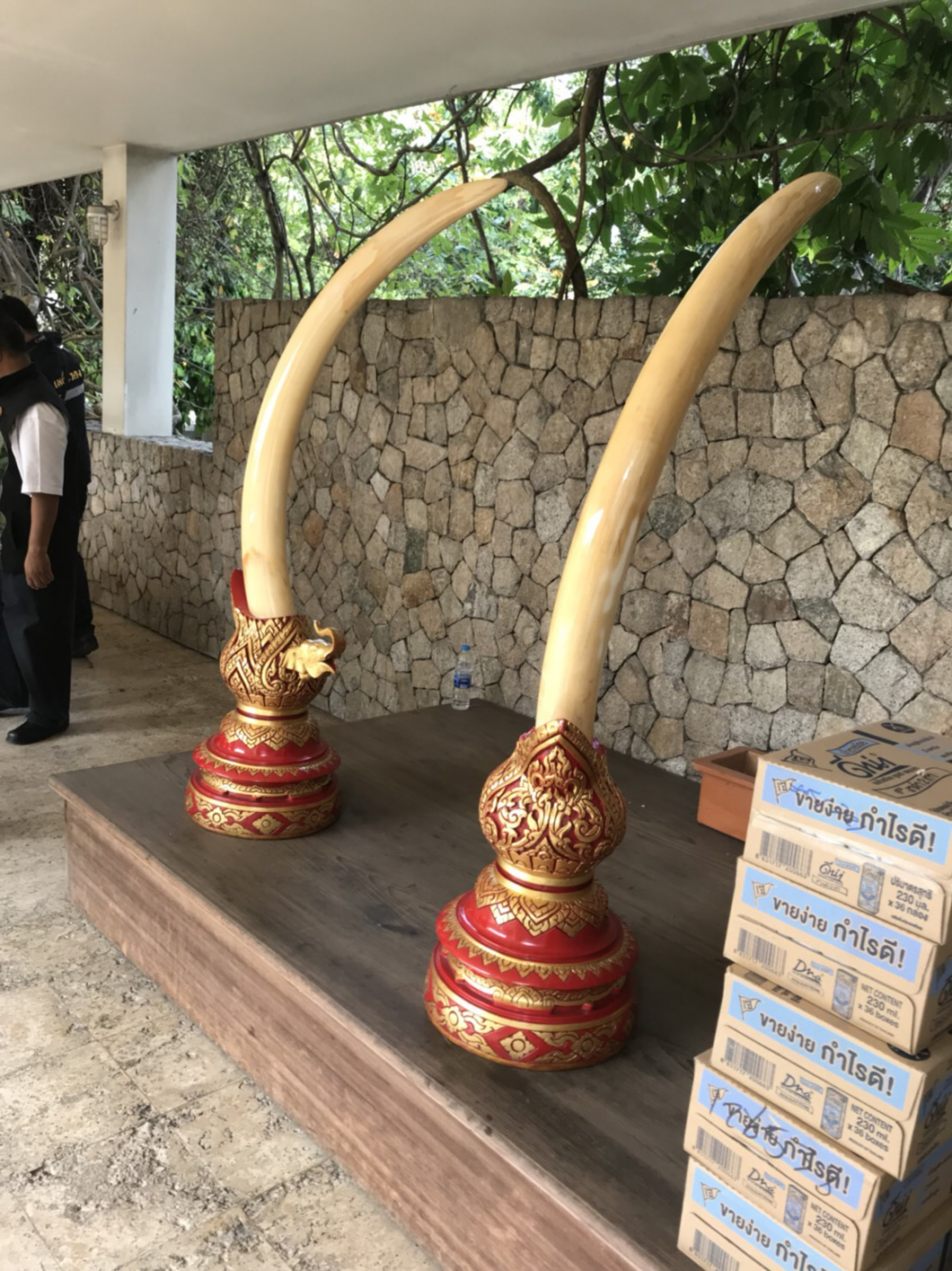 Premchai faces charge for possessing African elephant tusks