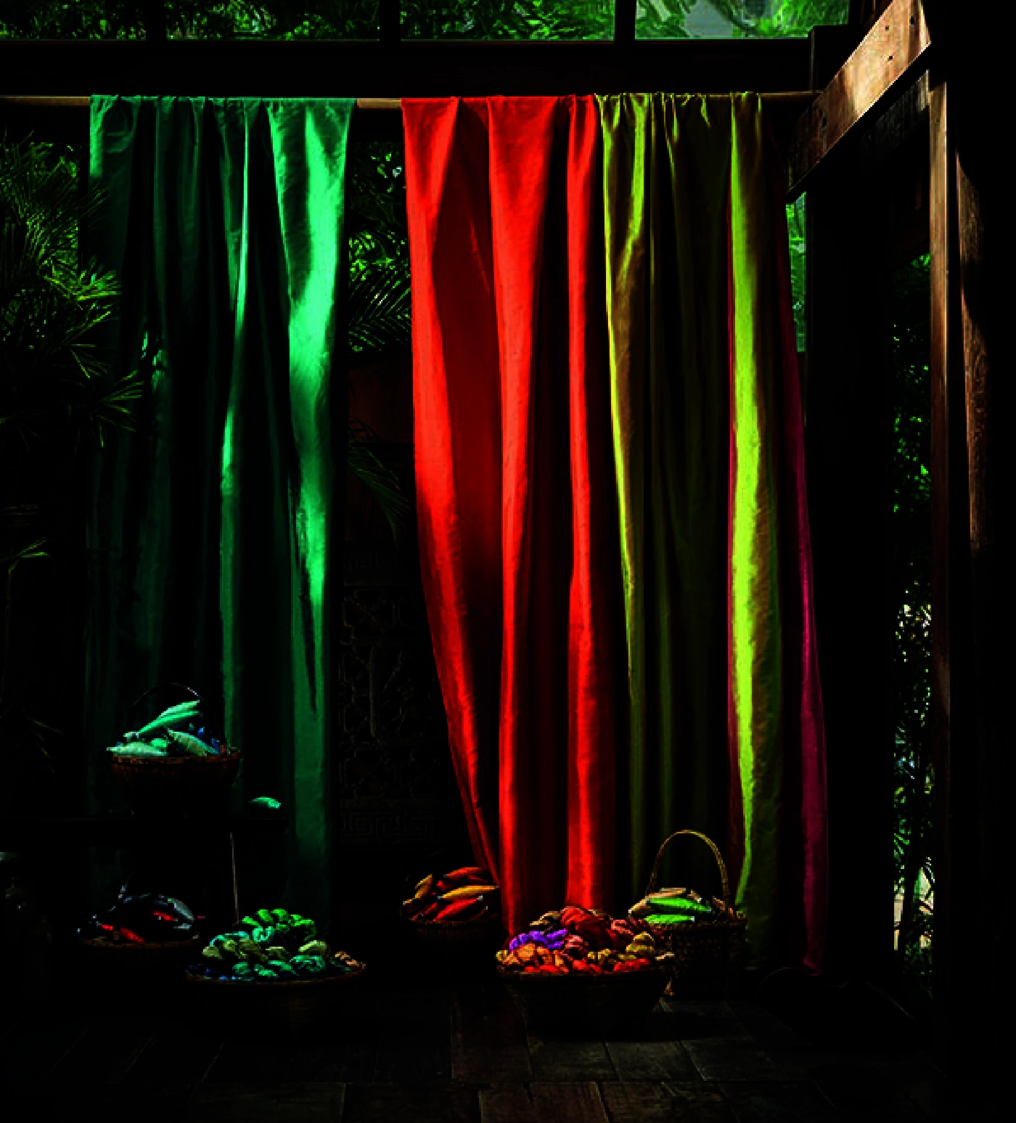 An explosion of colour