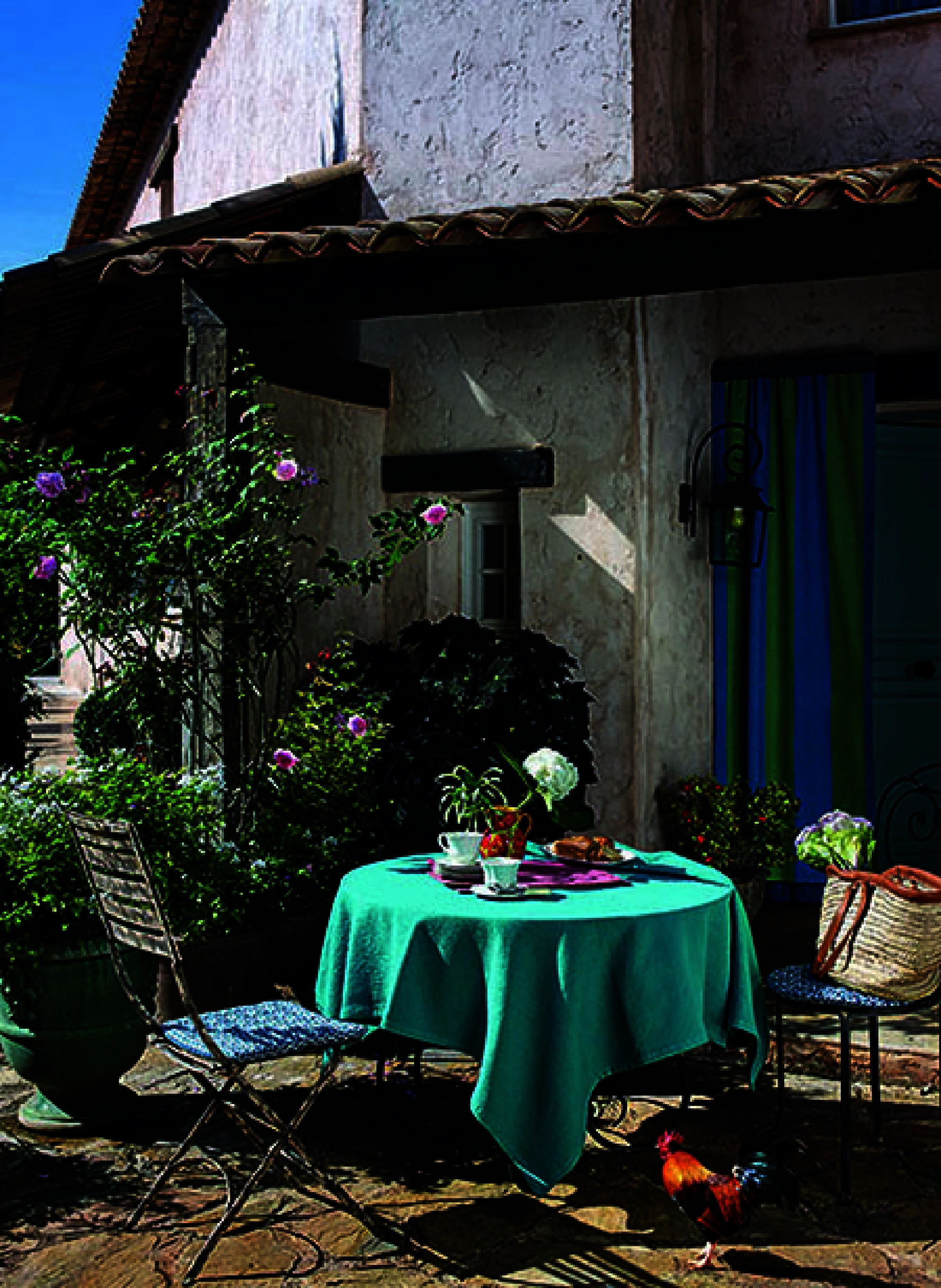 An explosion of colour