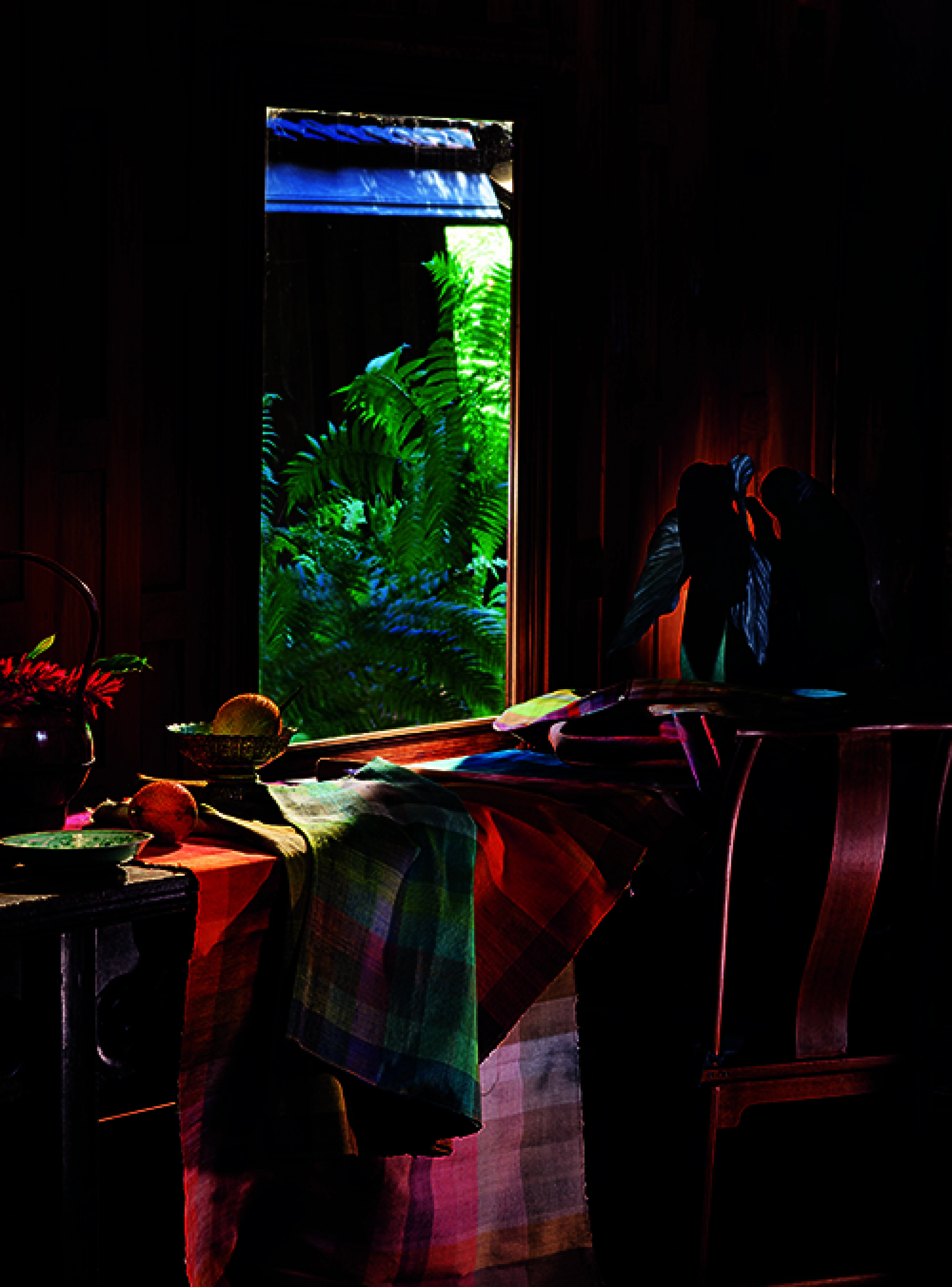 An explosion of colour