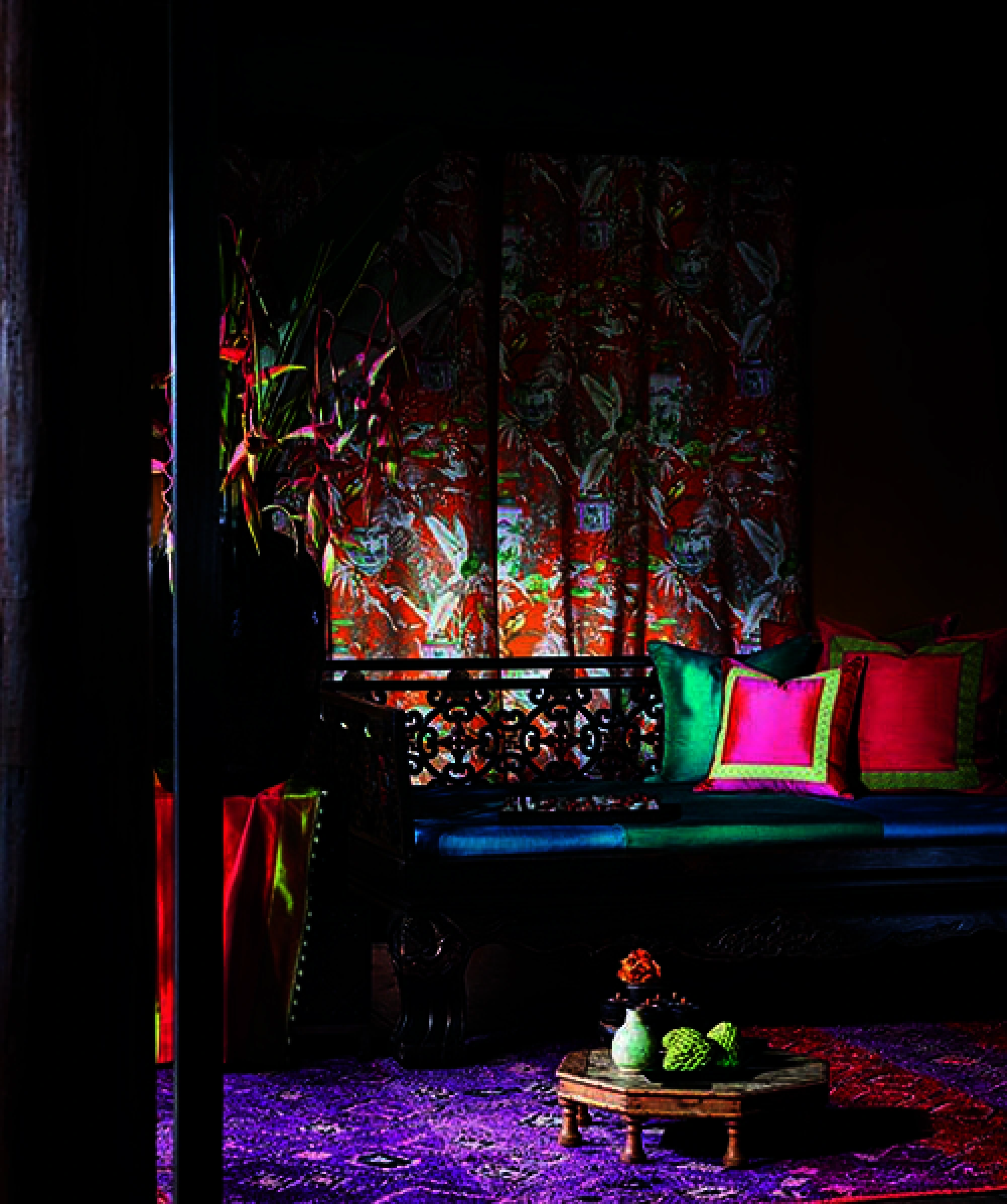 An explosion of colour