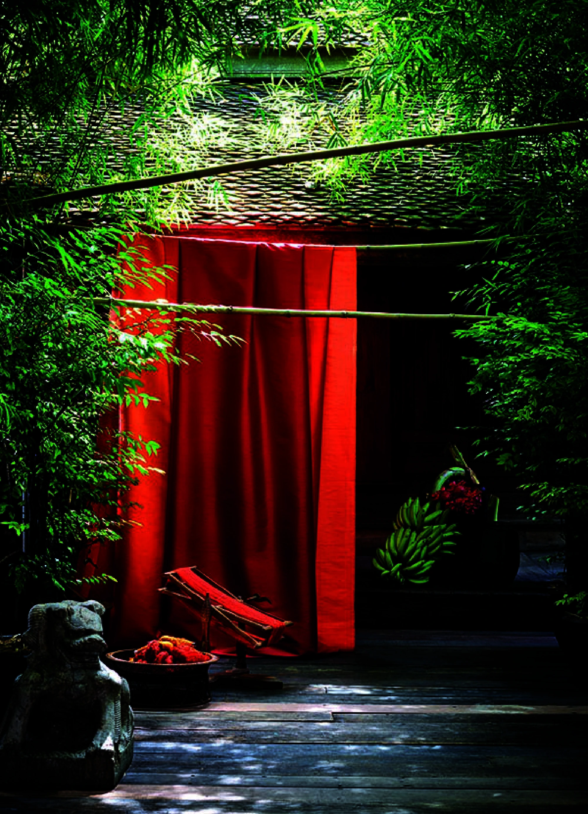 An explosion of colour