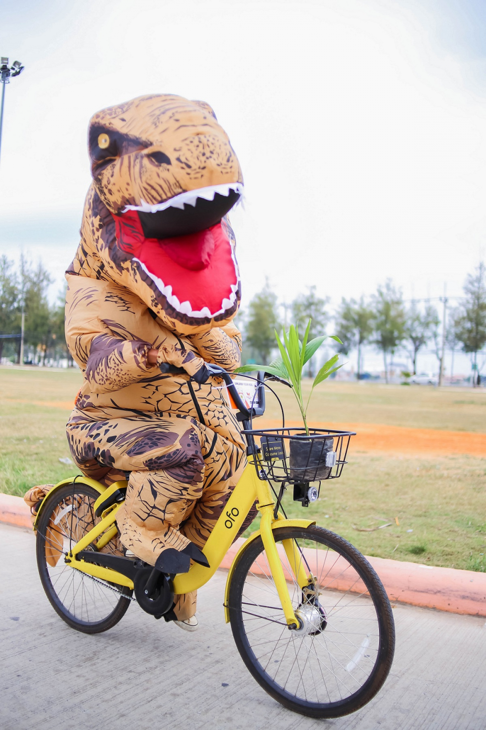 Bicycle sharing comes to Khon Kaen U in partnership with ofo