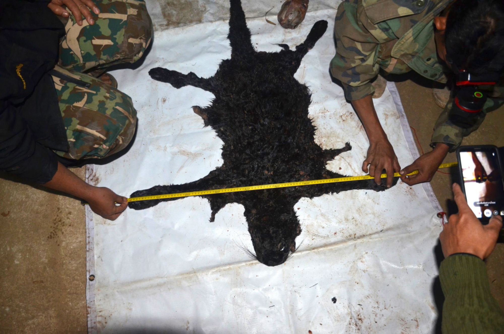 ITD president arrested for alleged poaching in Kanchanaburi