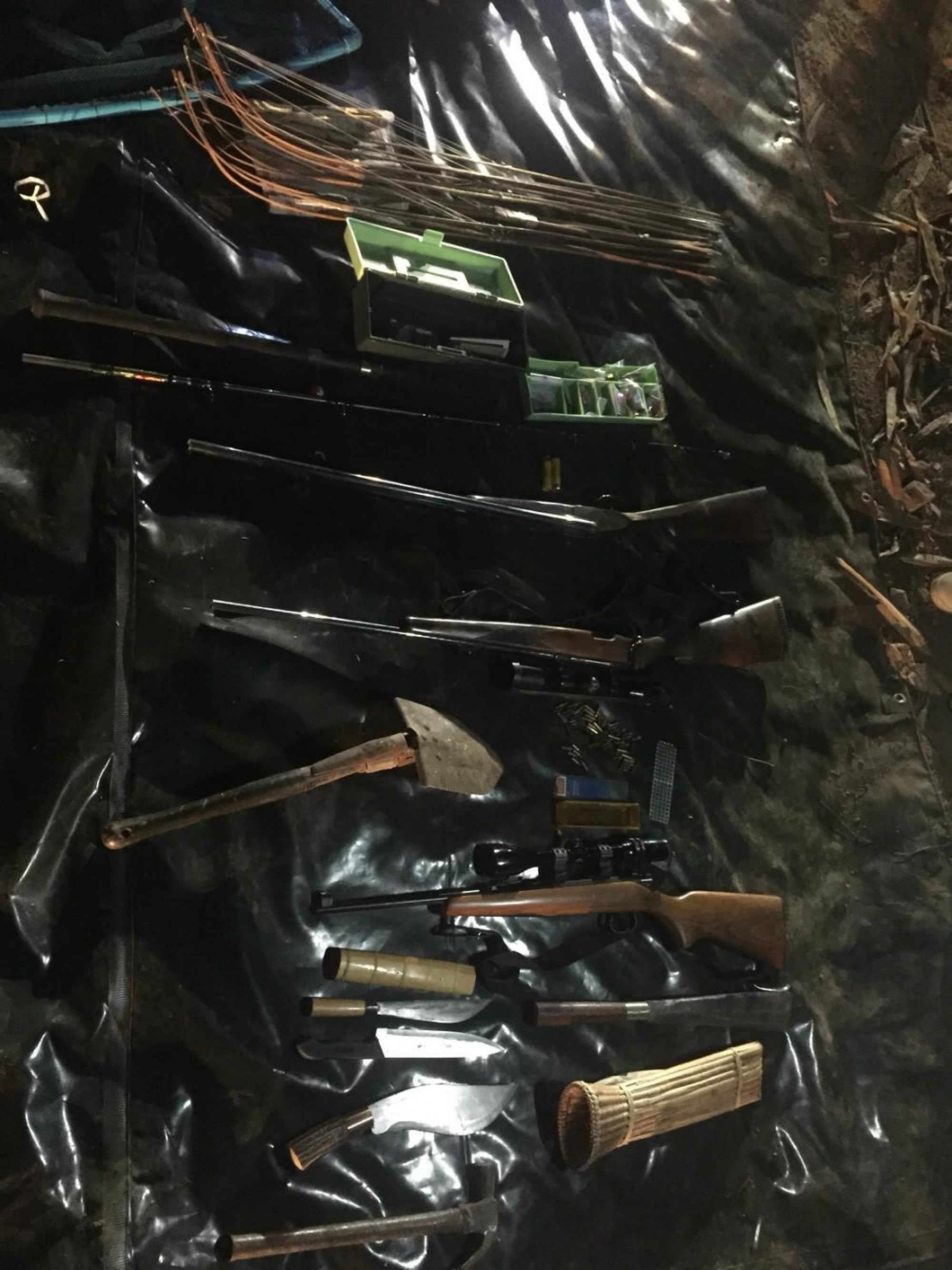 ITD president arrested for alleged poaching in Kanchanaburi