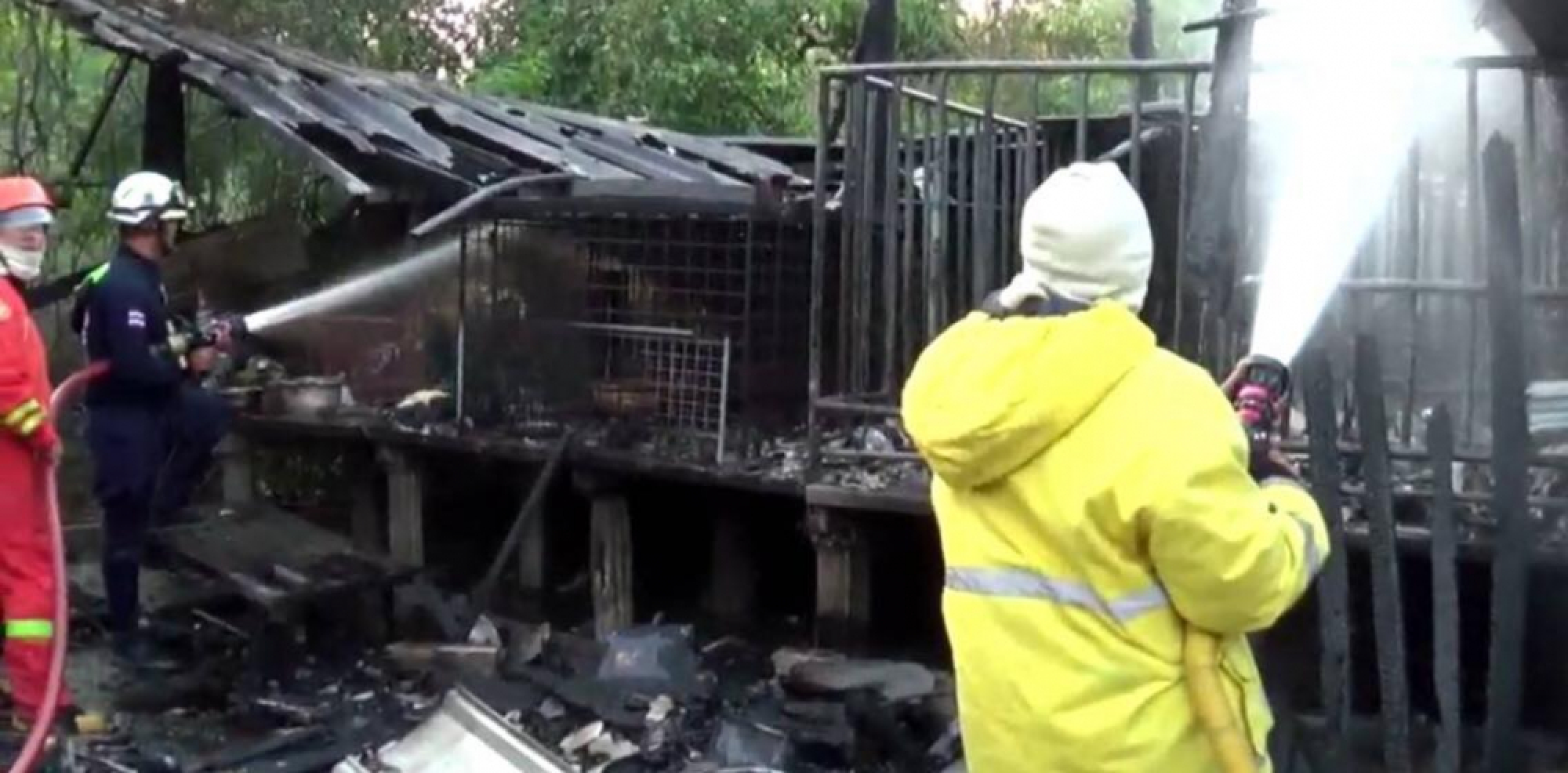 Caged dogs killed in fire