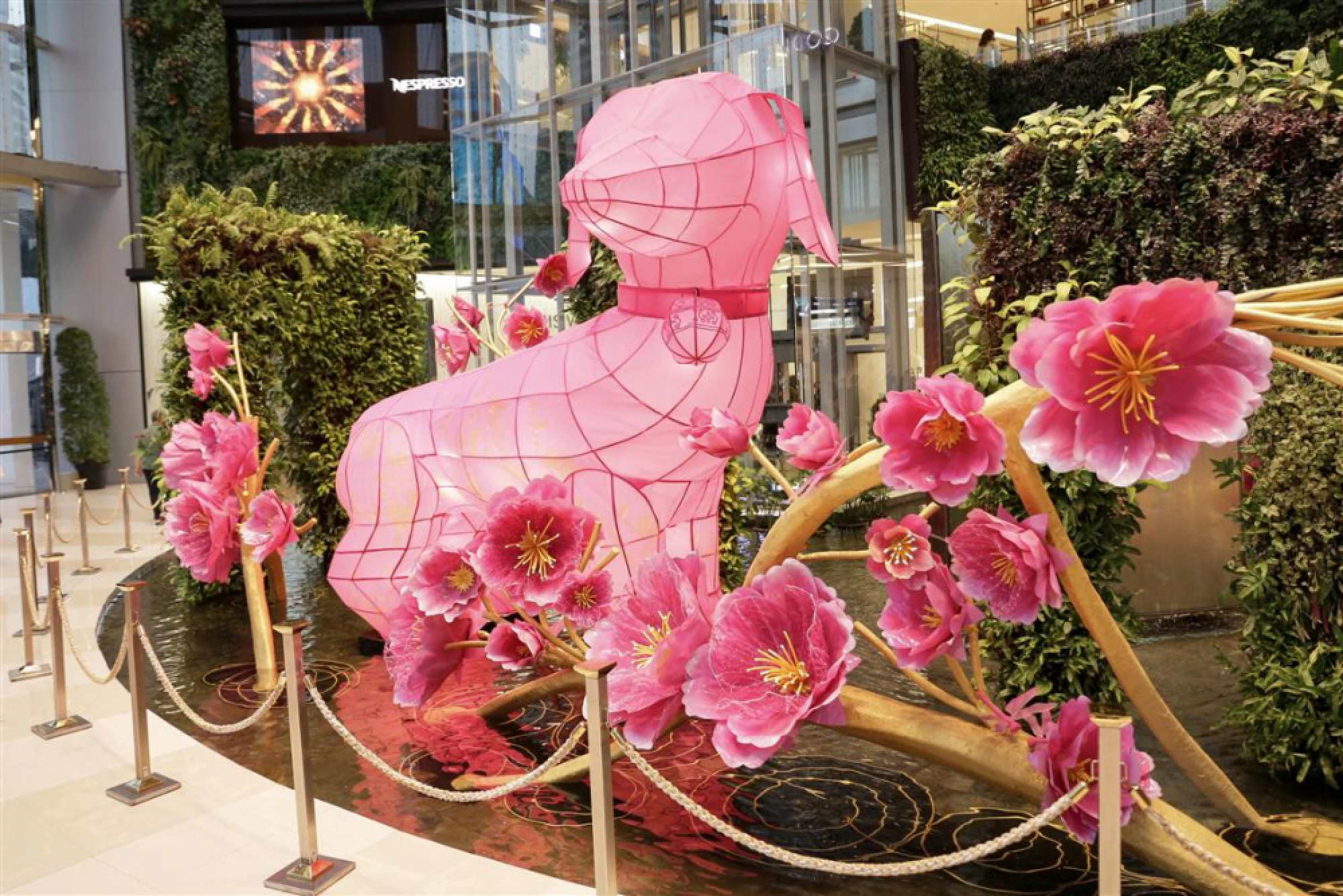 Lanterns, acrobats, music and shopping welcome the Year of the Dog