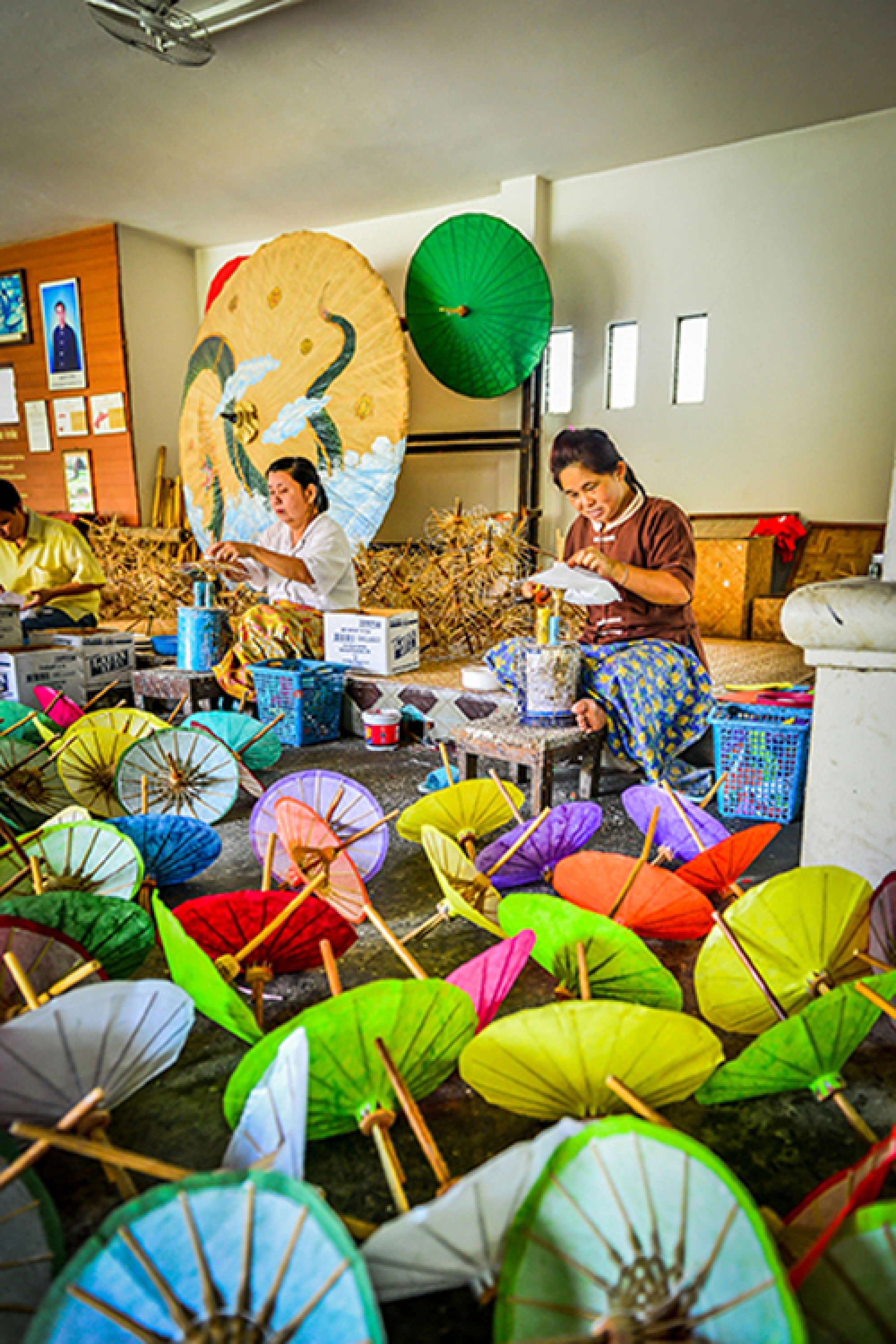 Paper parasols abloom in Chiang Mai