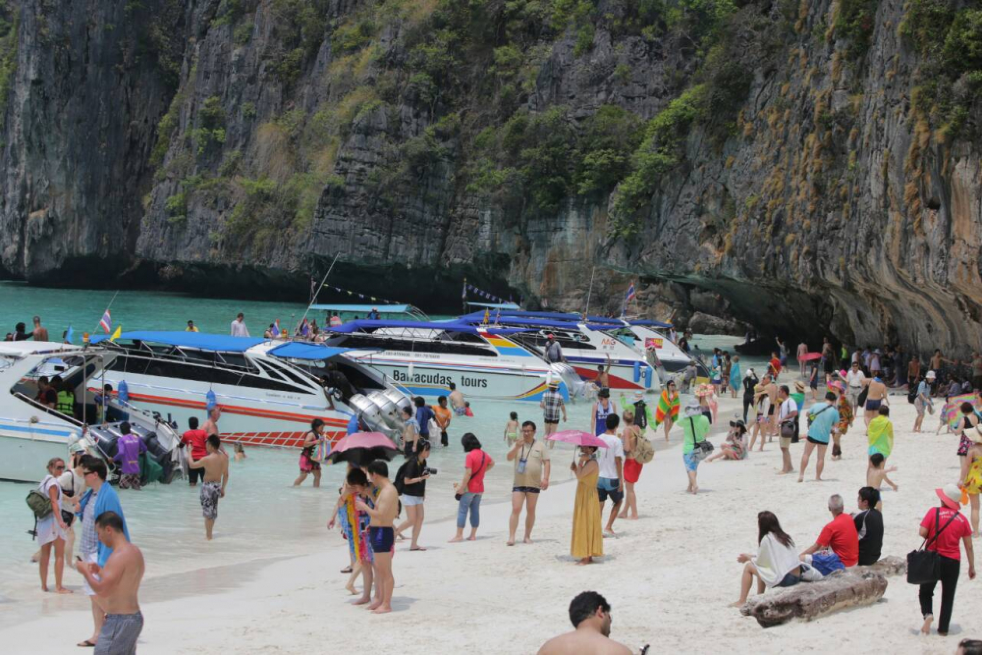 Call to limit Krabi tourism numbers