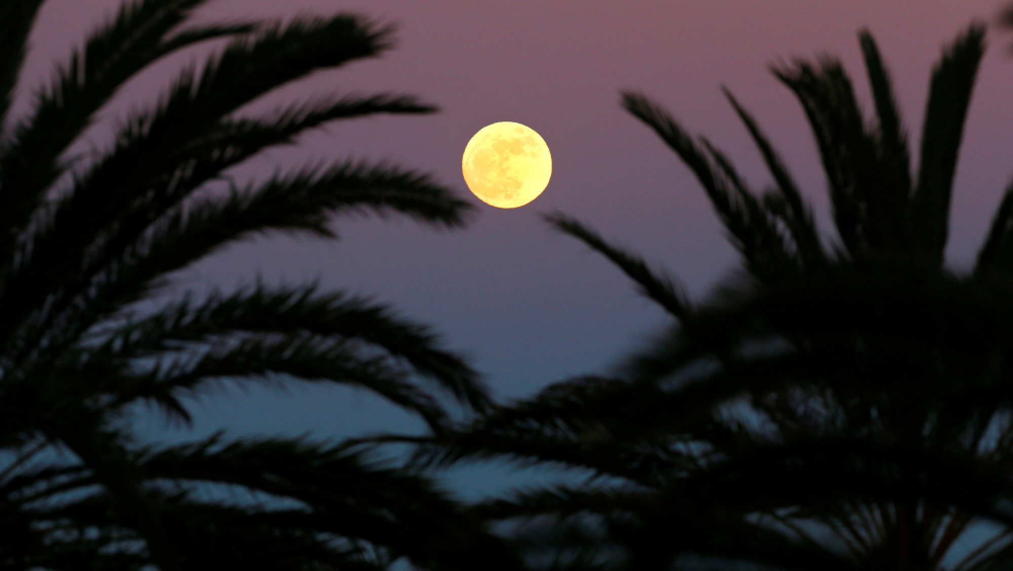 New year super moon